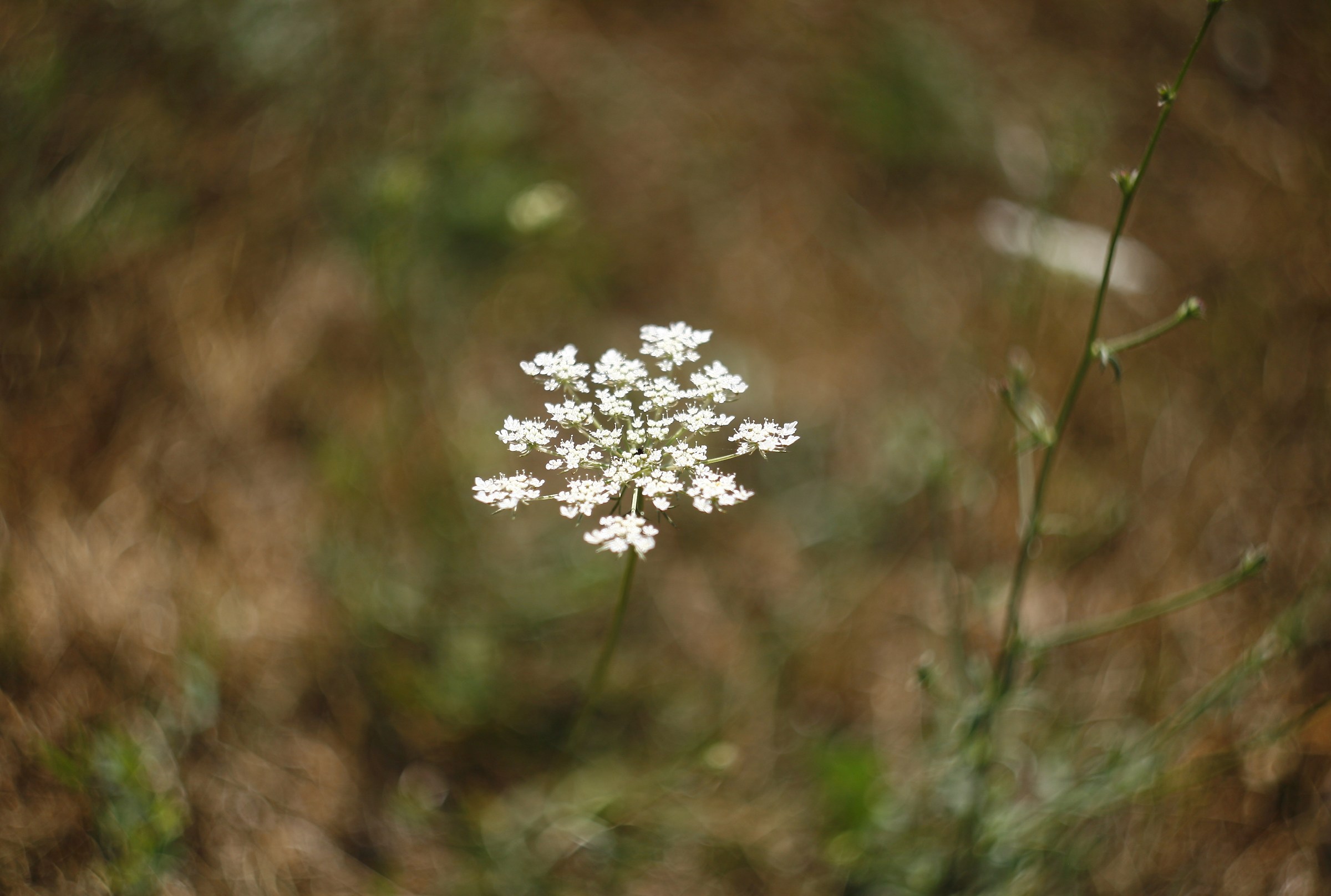 giriamoci intorno...