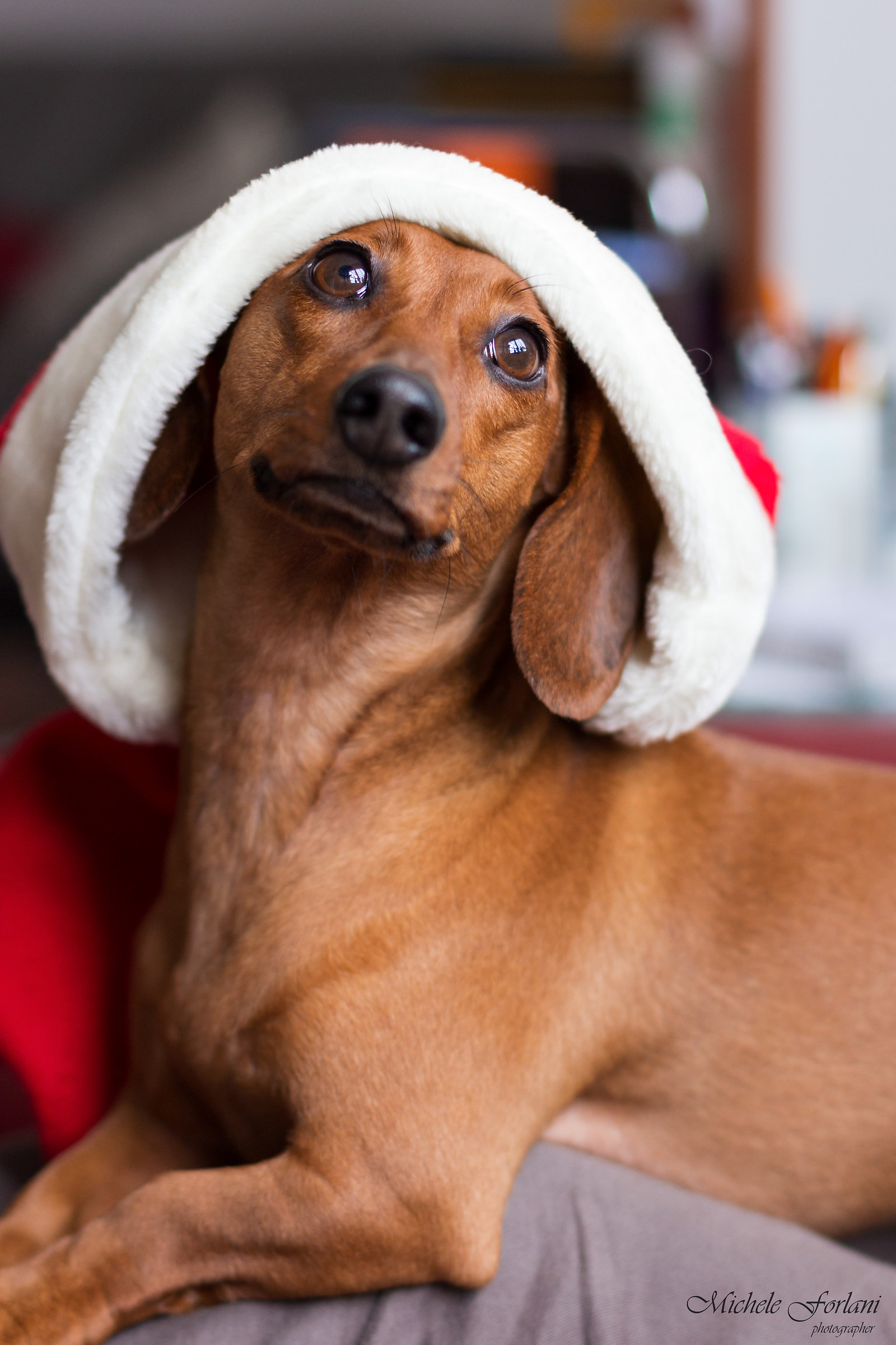 Santa Cloe is coming to town!