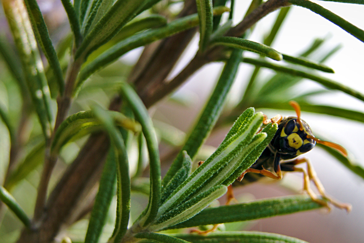 What are you watching?