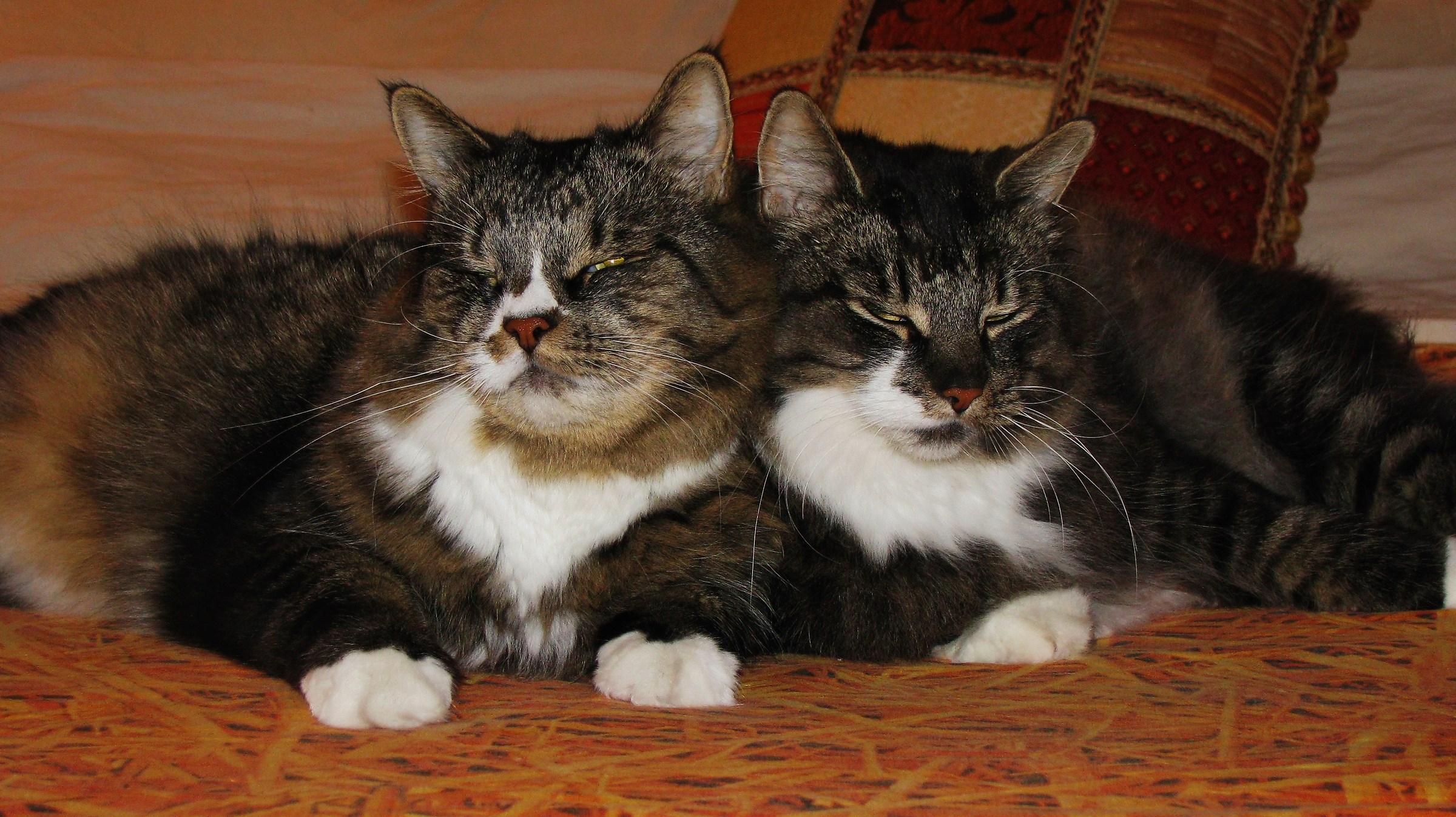 Katov Pugachev and two brothers inseparable