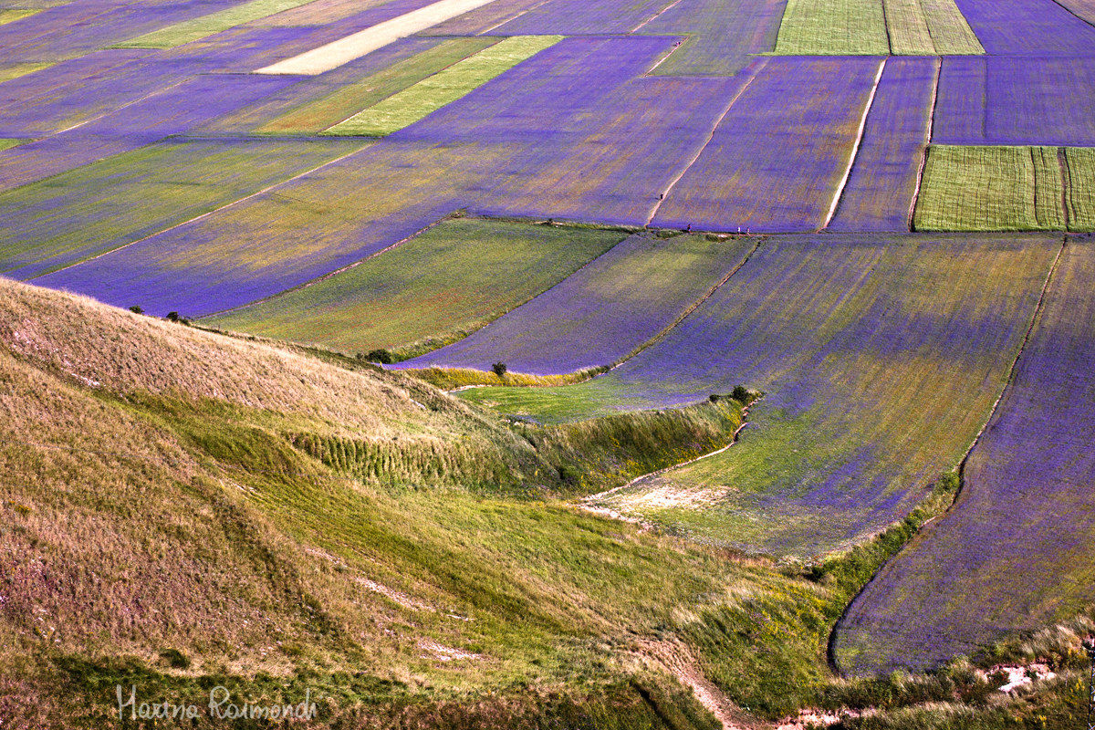 Ai piedi del monte 03