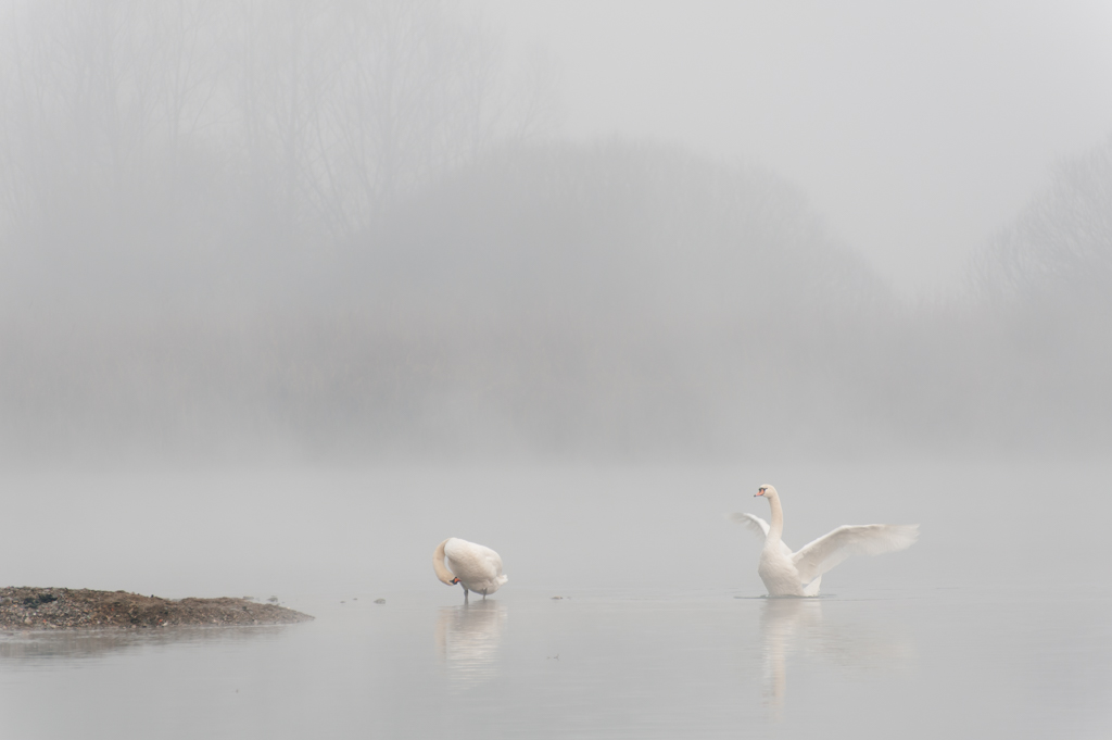 colori pastello sull'adda