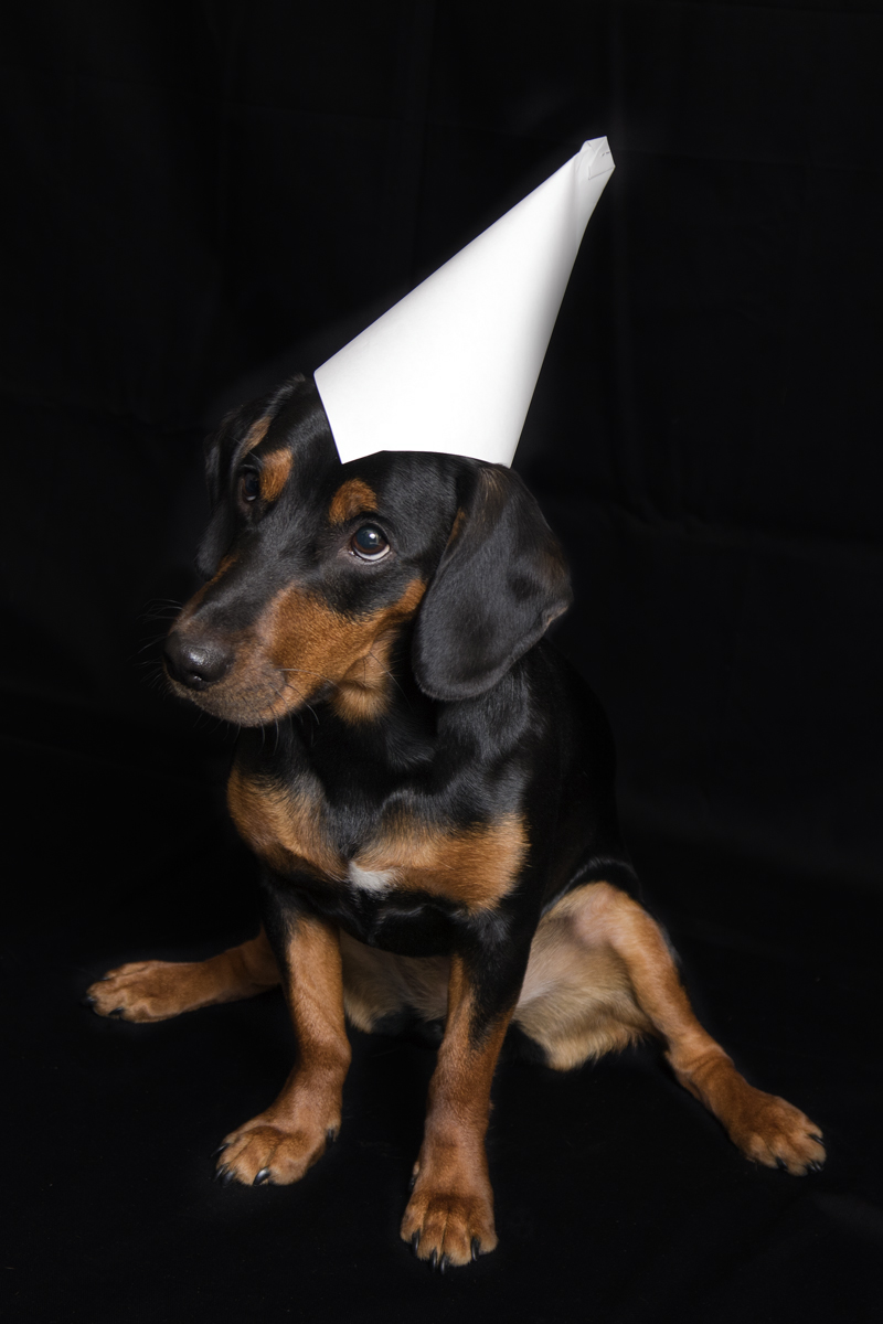 Ombra ... in versione modella