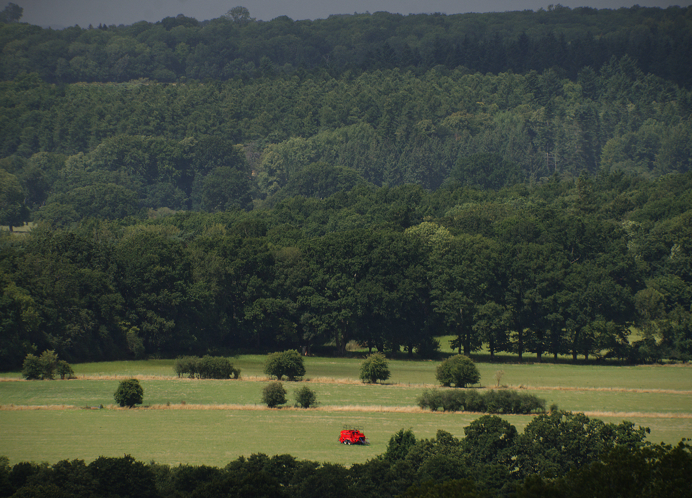 Il Bug Big Red è atterrato ...