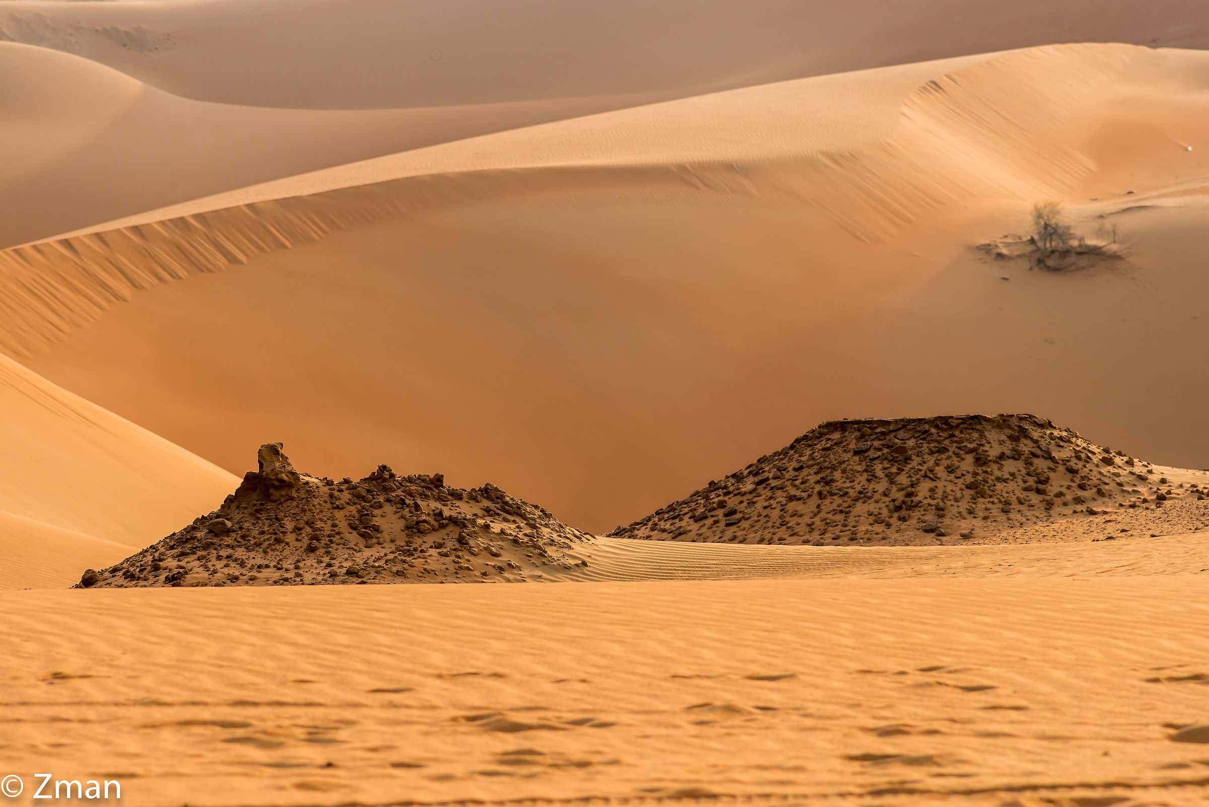 The Setting for the Training