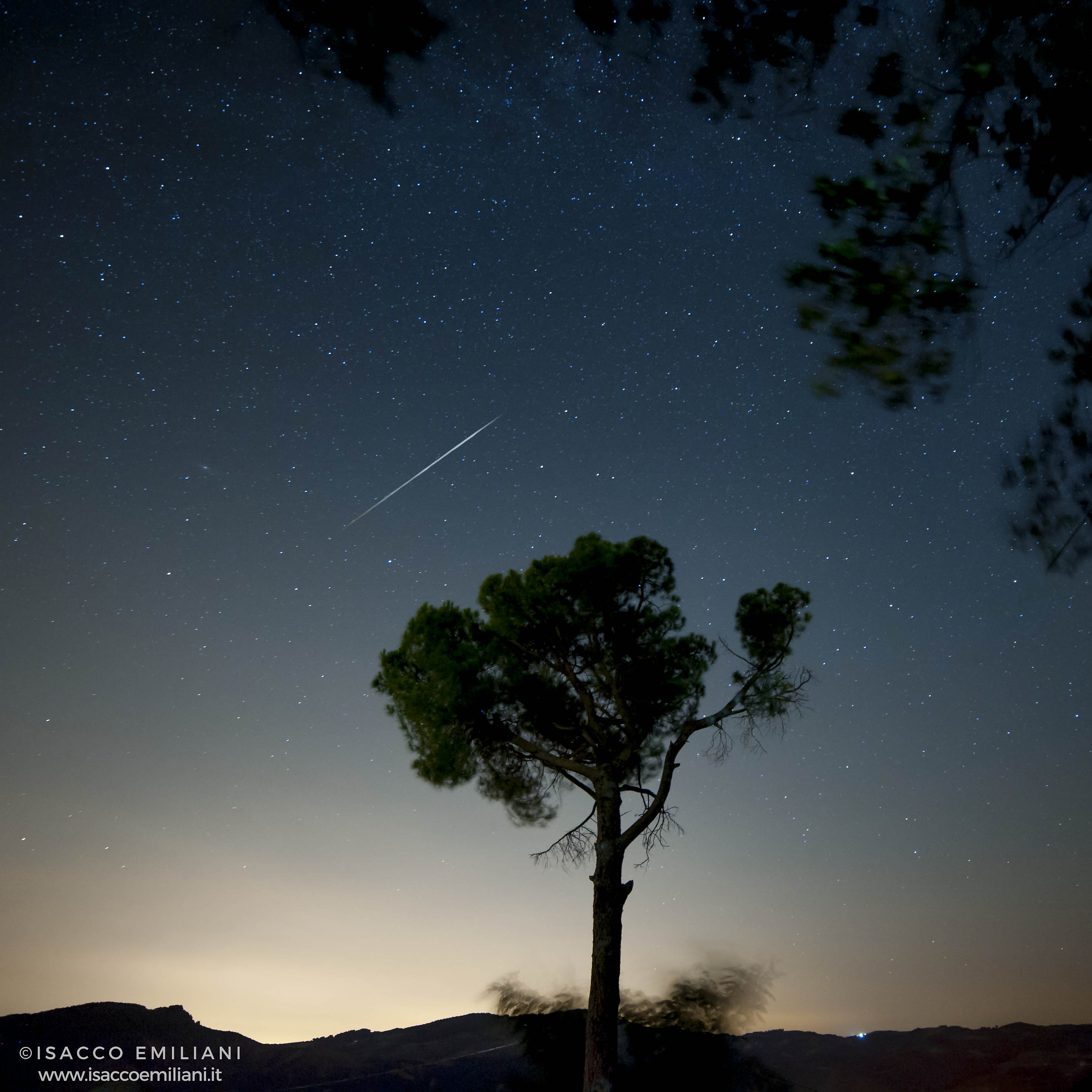 Pino a San Martino in Monte