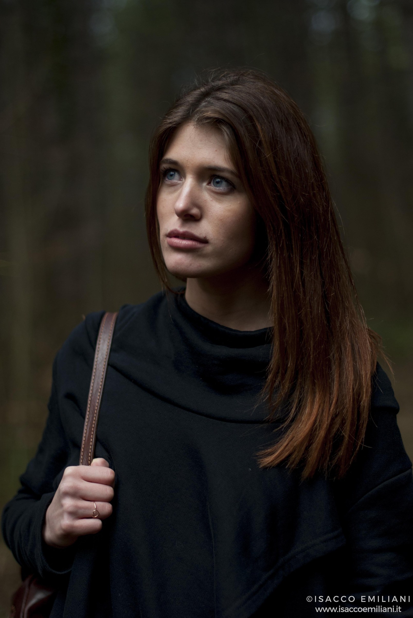 Serena nelle foreste Casentinesi