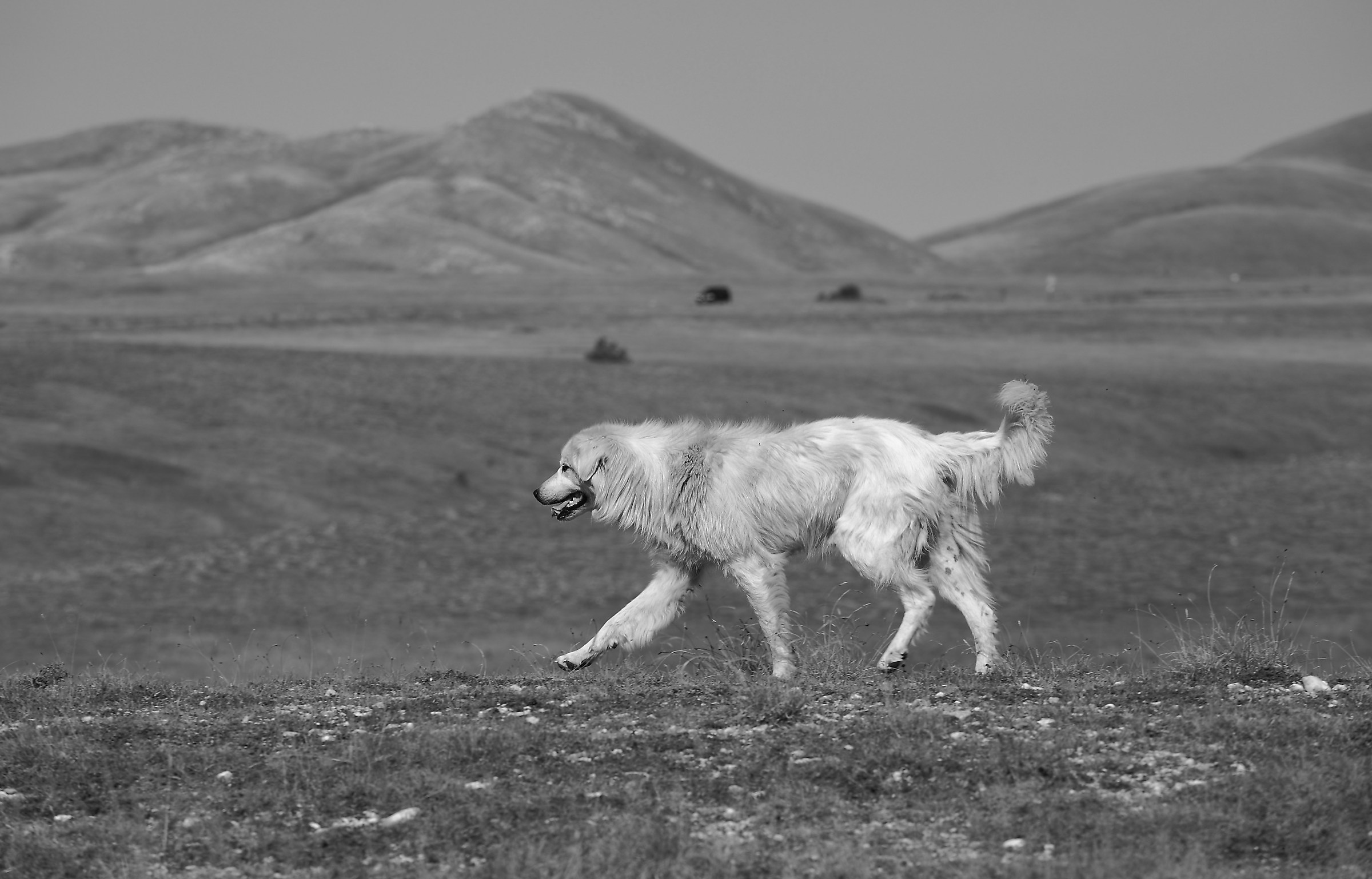 Campo Imperatore is his!
