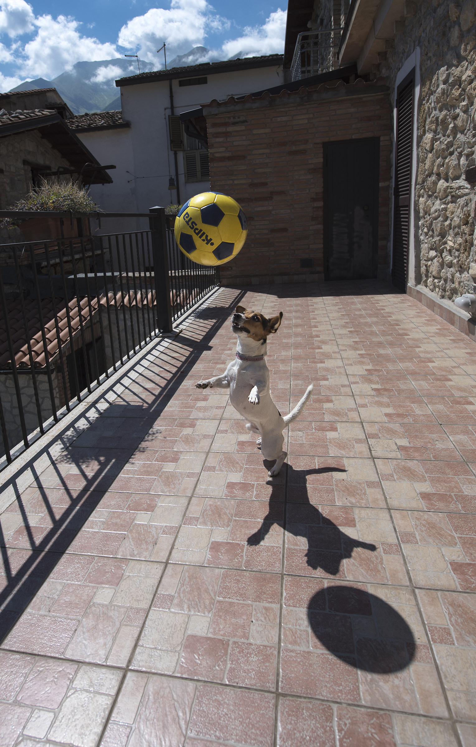 Since the player will do great!