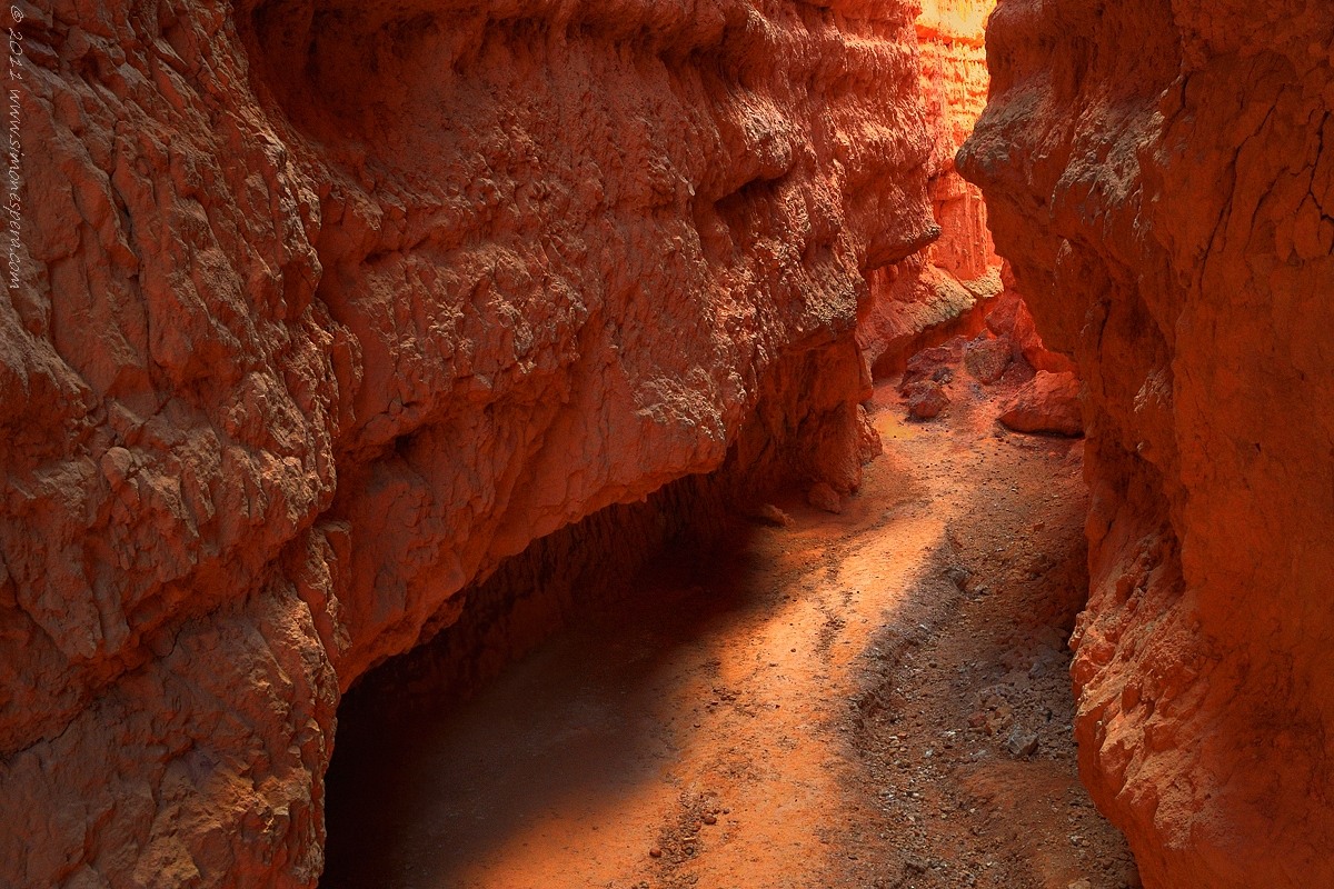 Bryce Canyon...Utah...