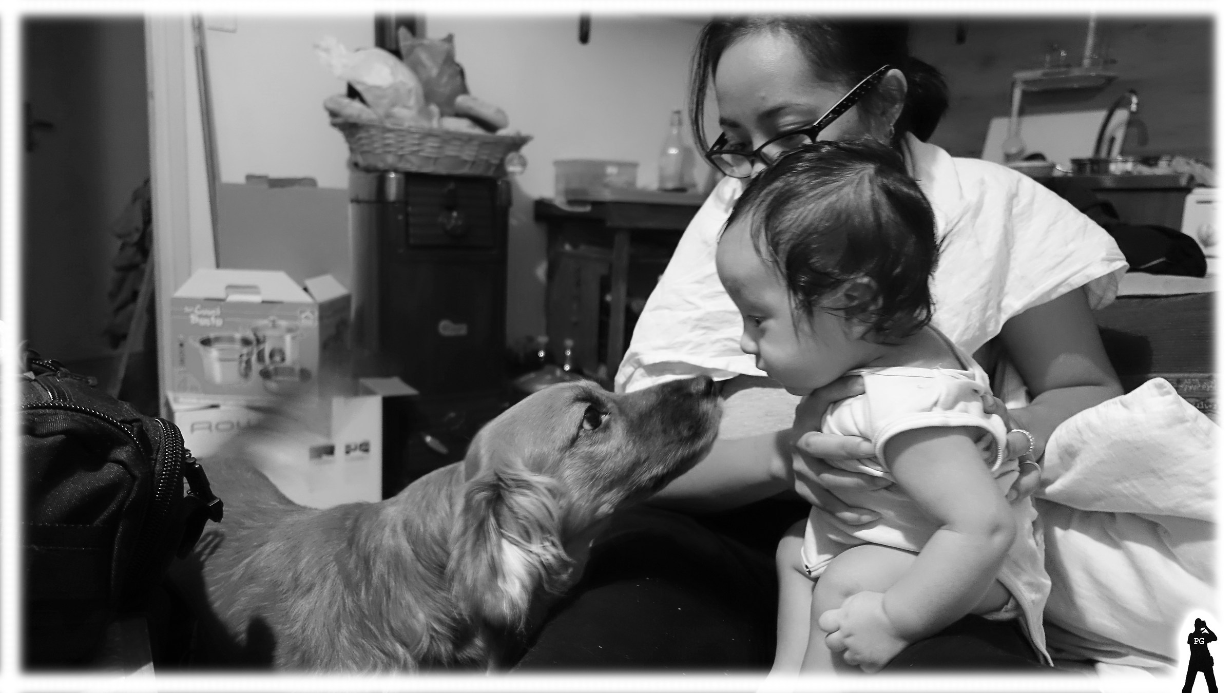 ...who are you??? Buddy and DXG studying!