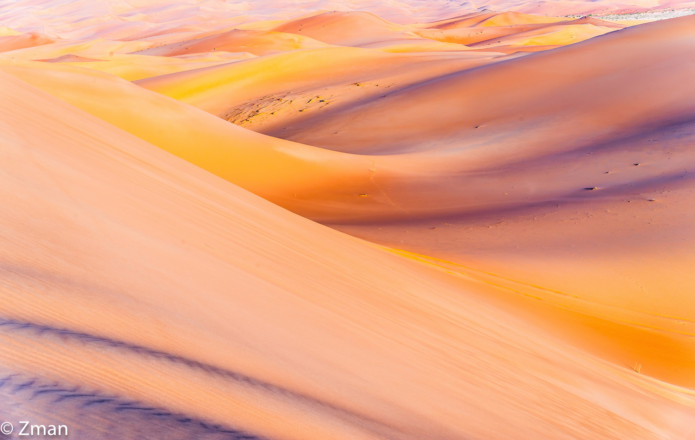 Painting in Monochrome