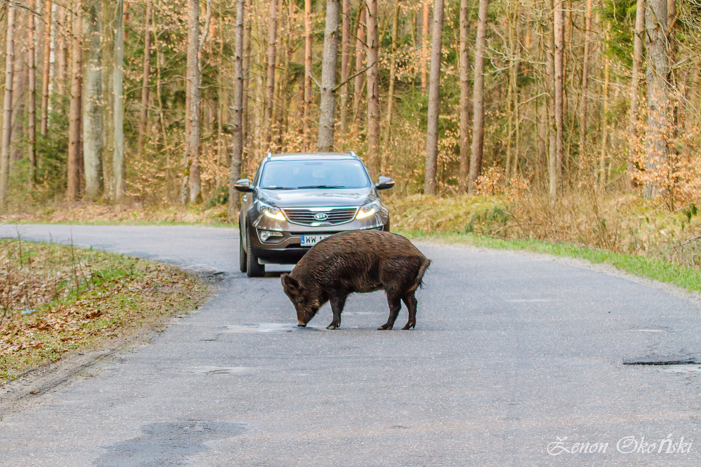 Vicino a Ilawa Polonia