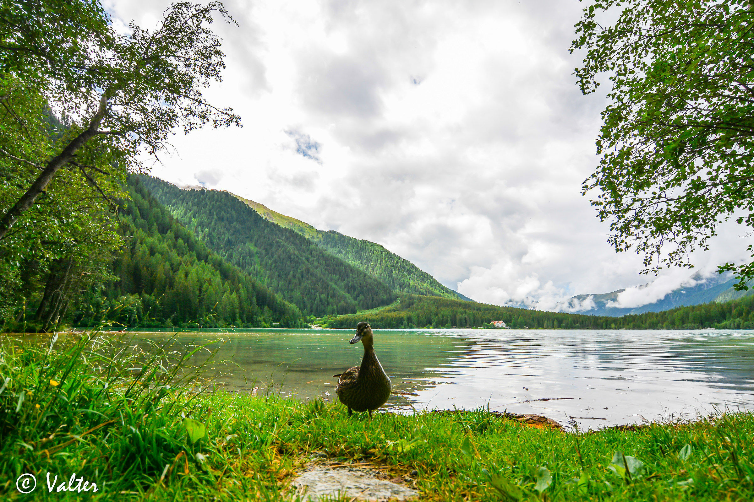 Lake Anterselva 2