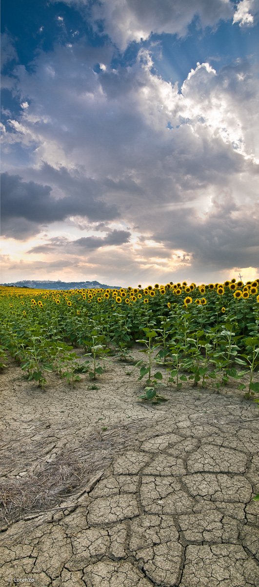 Macerata countryside
