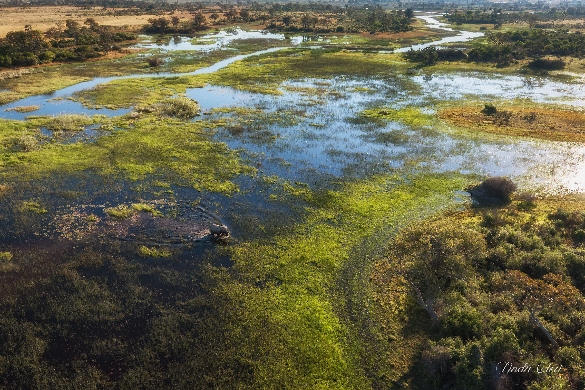 In volo sul Delta dell'Okavango