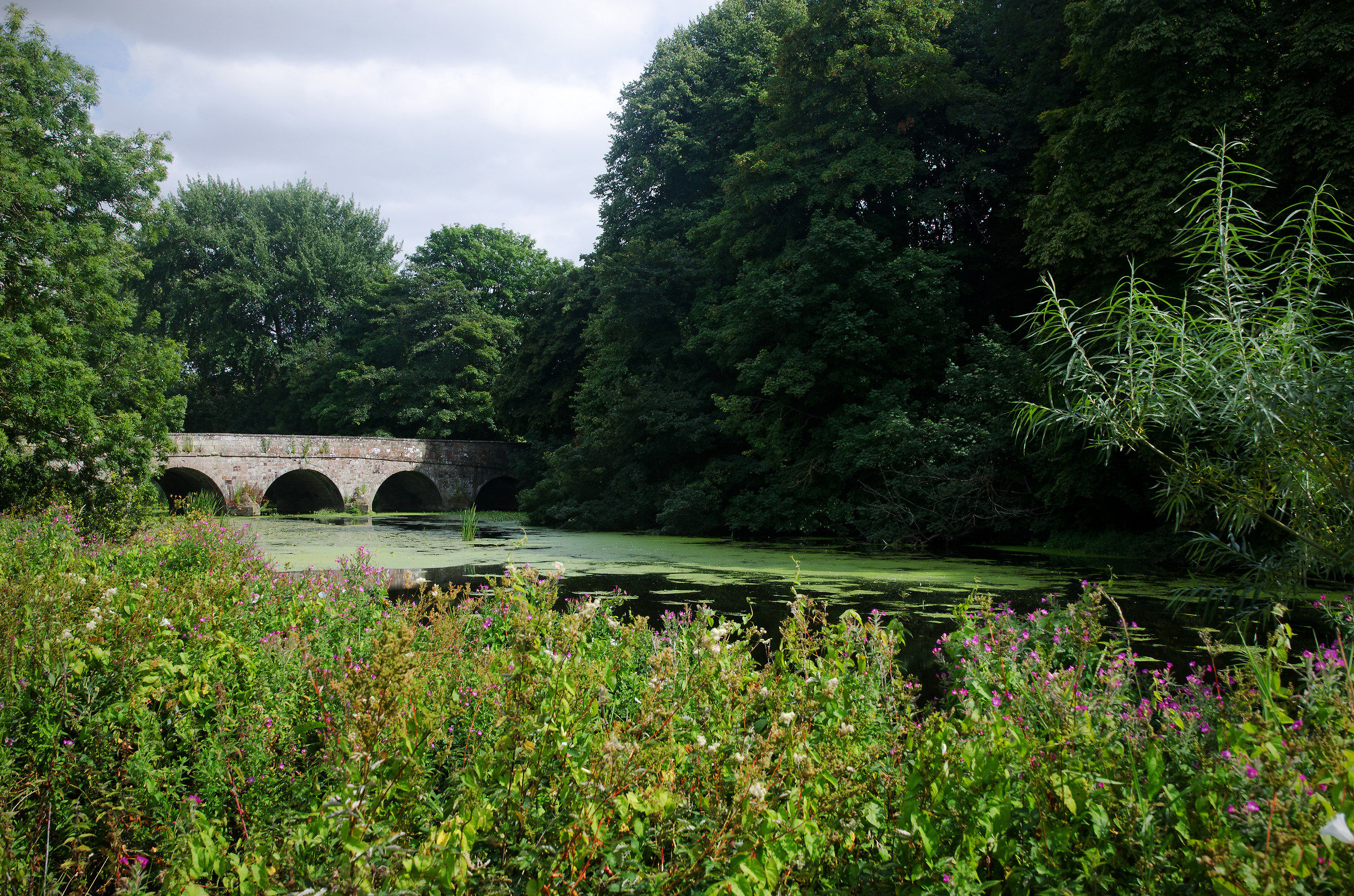 Fiume Stour a Blandford Forum