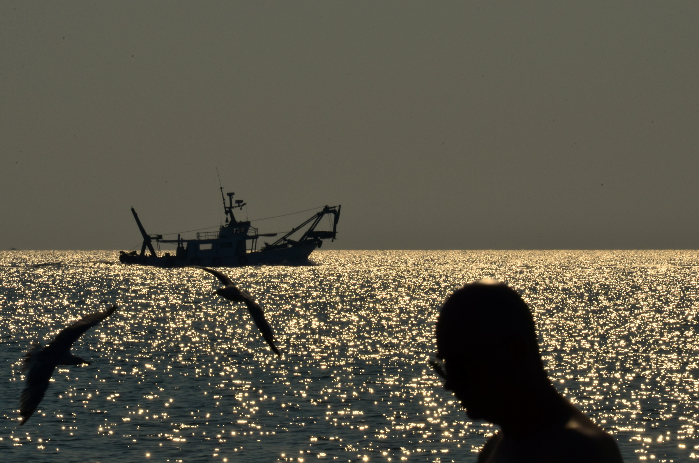 Waiting for the return of the clam