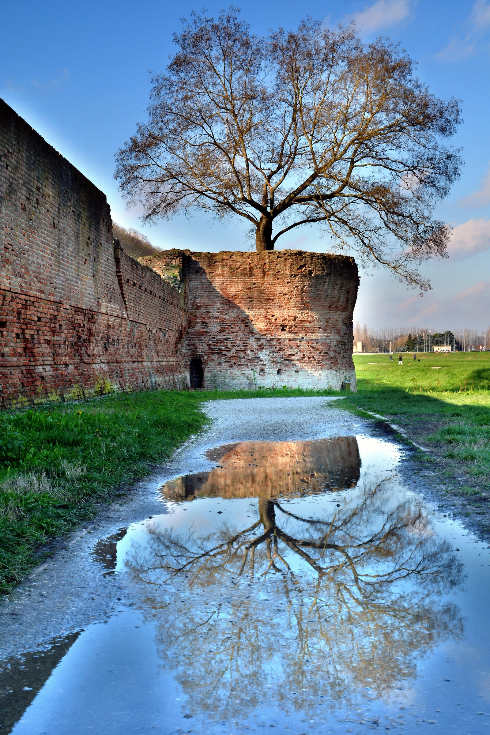 Ferrara, reflected in the Walls