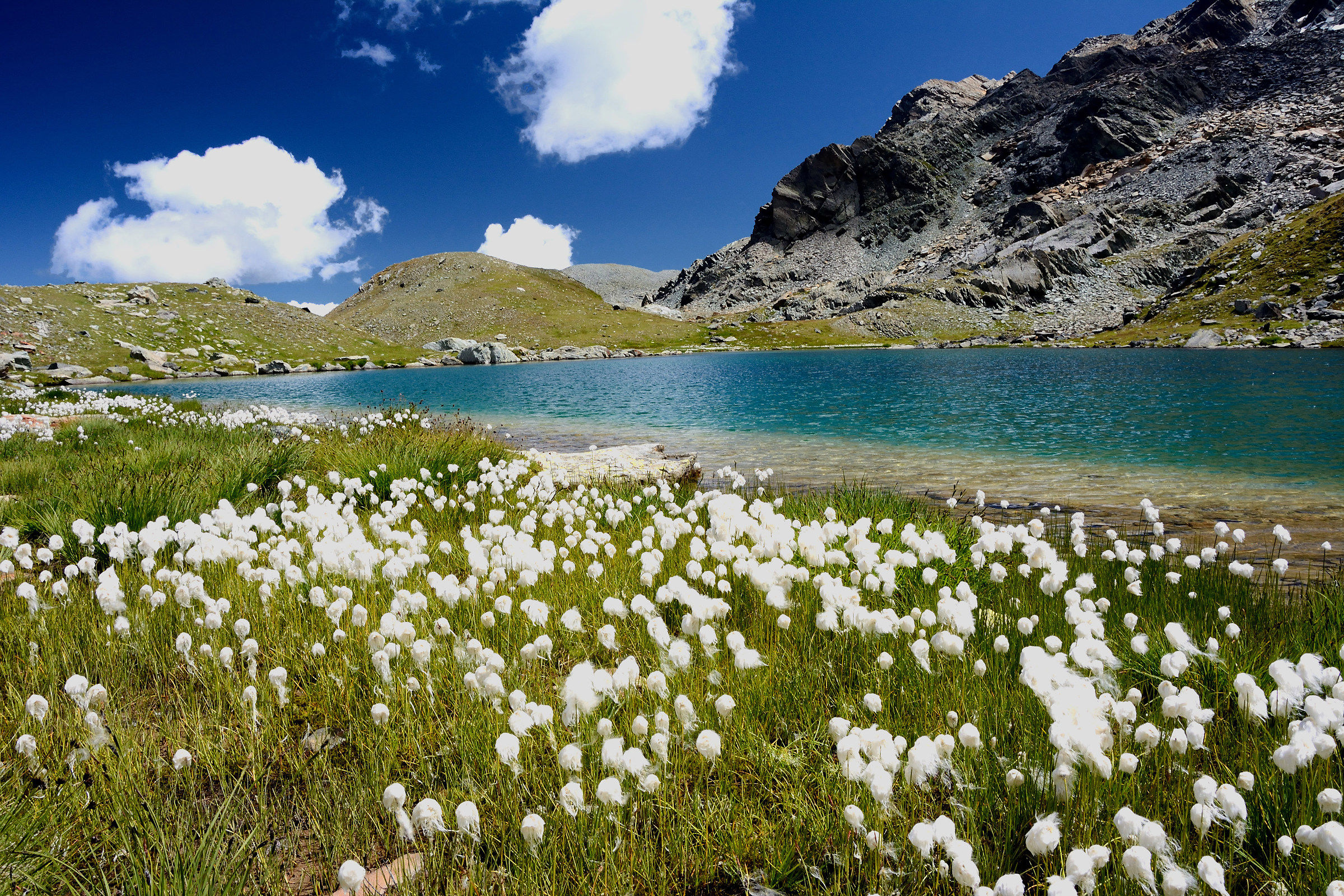 Regional Park Mont Avic