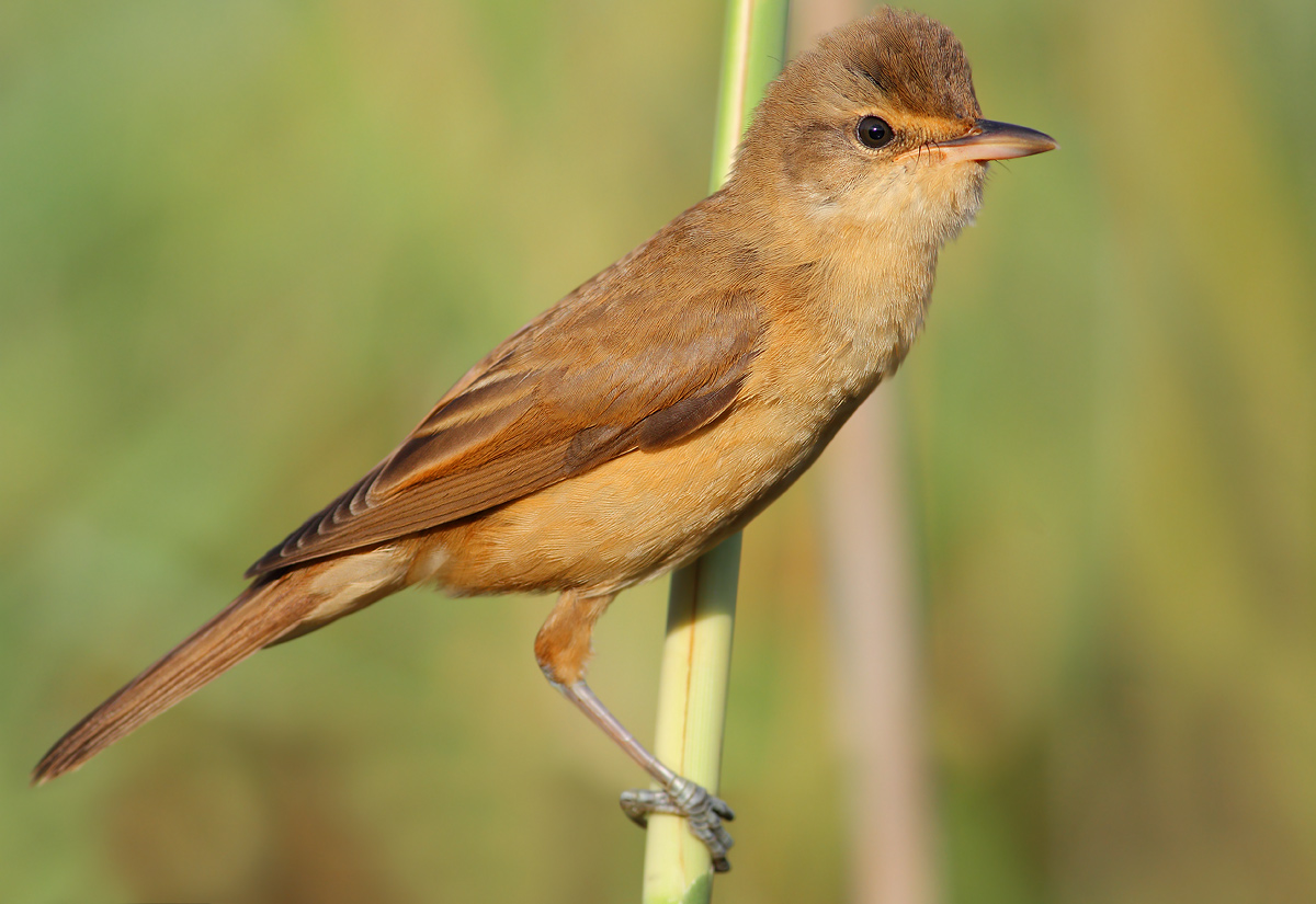 So within the frame?