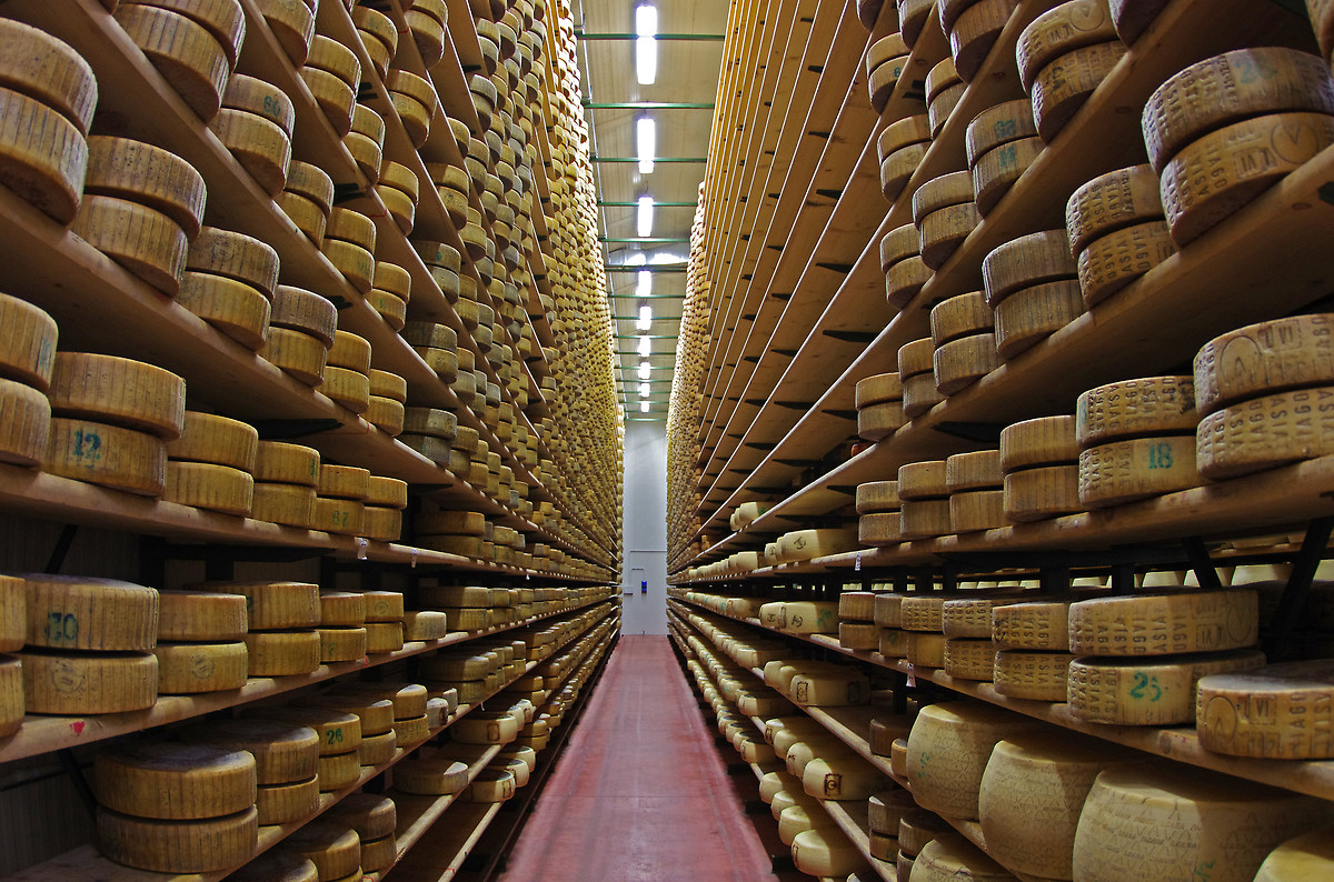 Asiago cheese factory (vi)