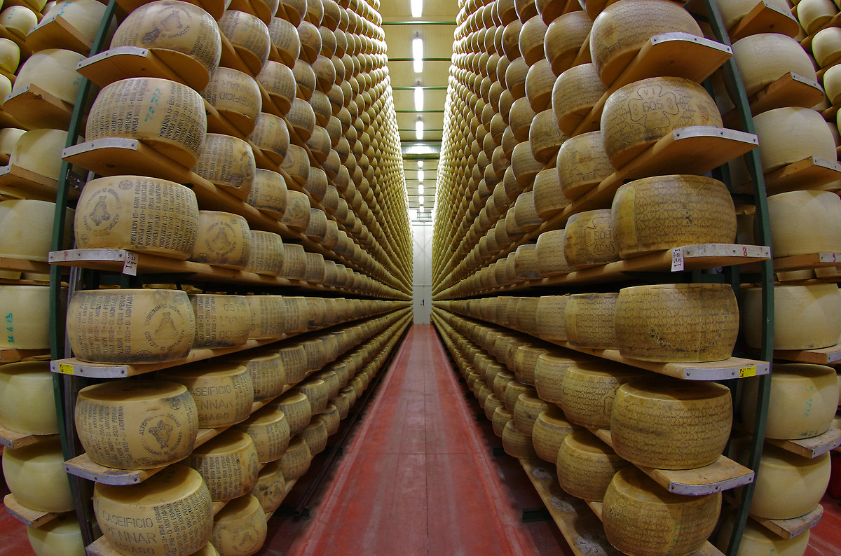 Grana Padano cheese in a dairy Asiago (vi)