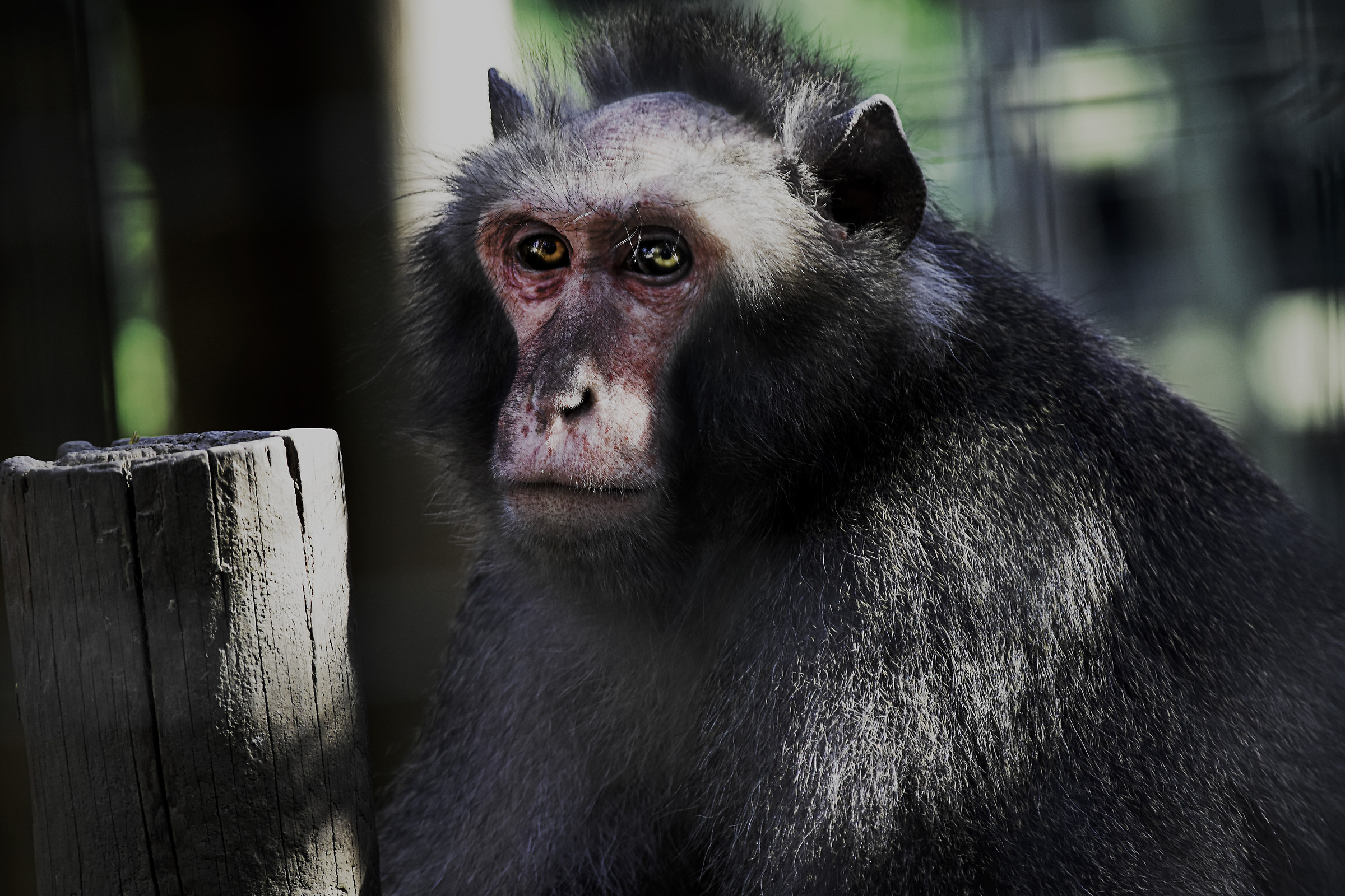 Basta uno sguardo per capire