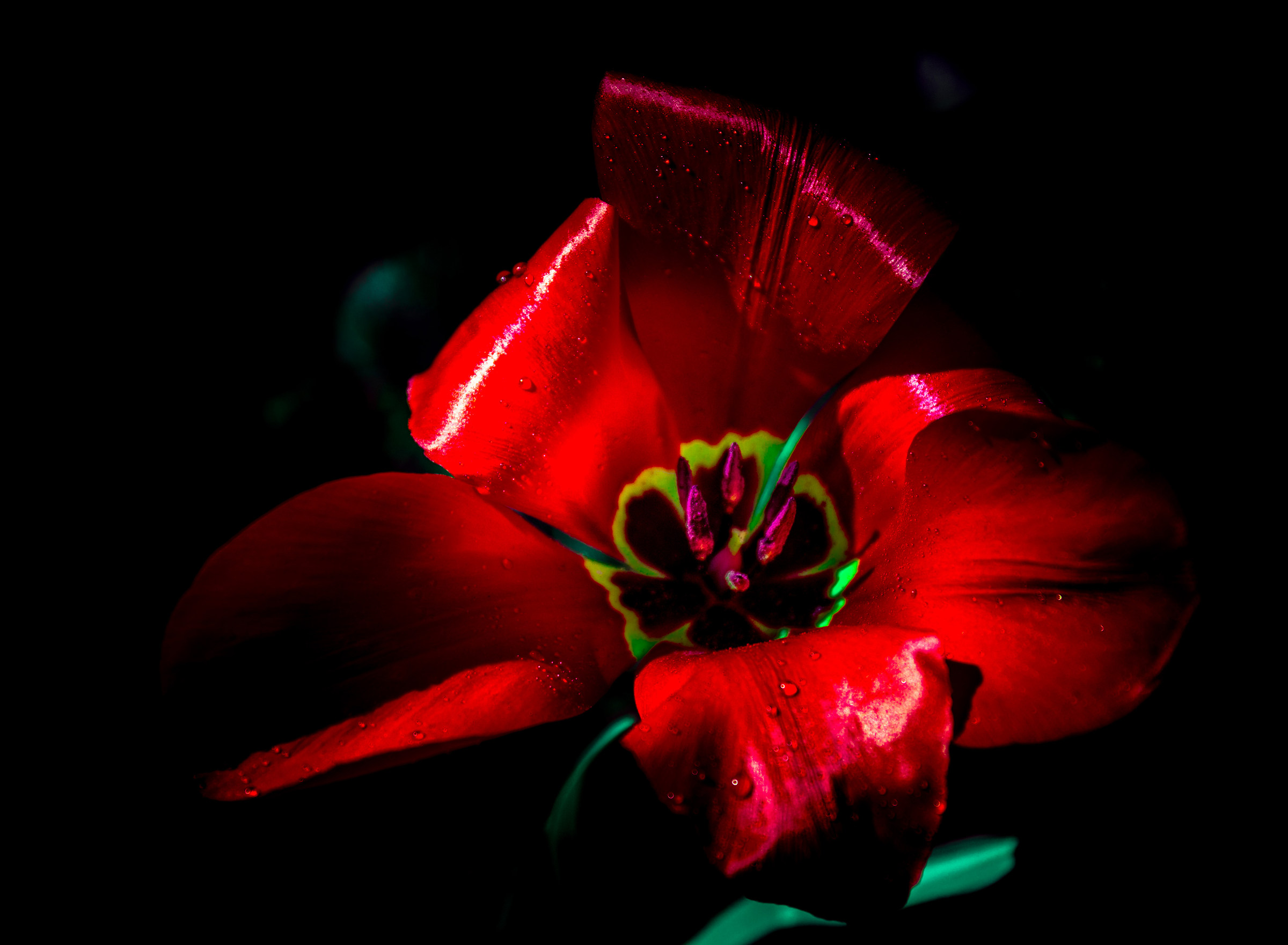 A little 'dired in the dark