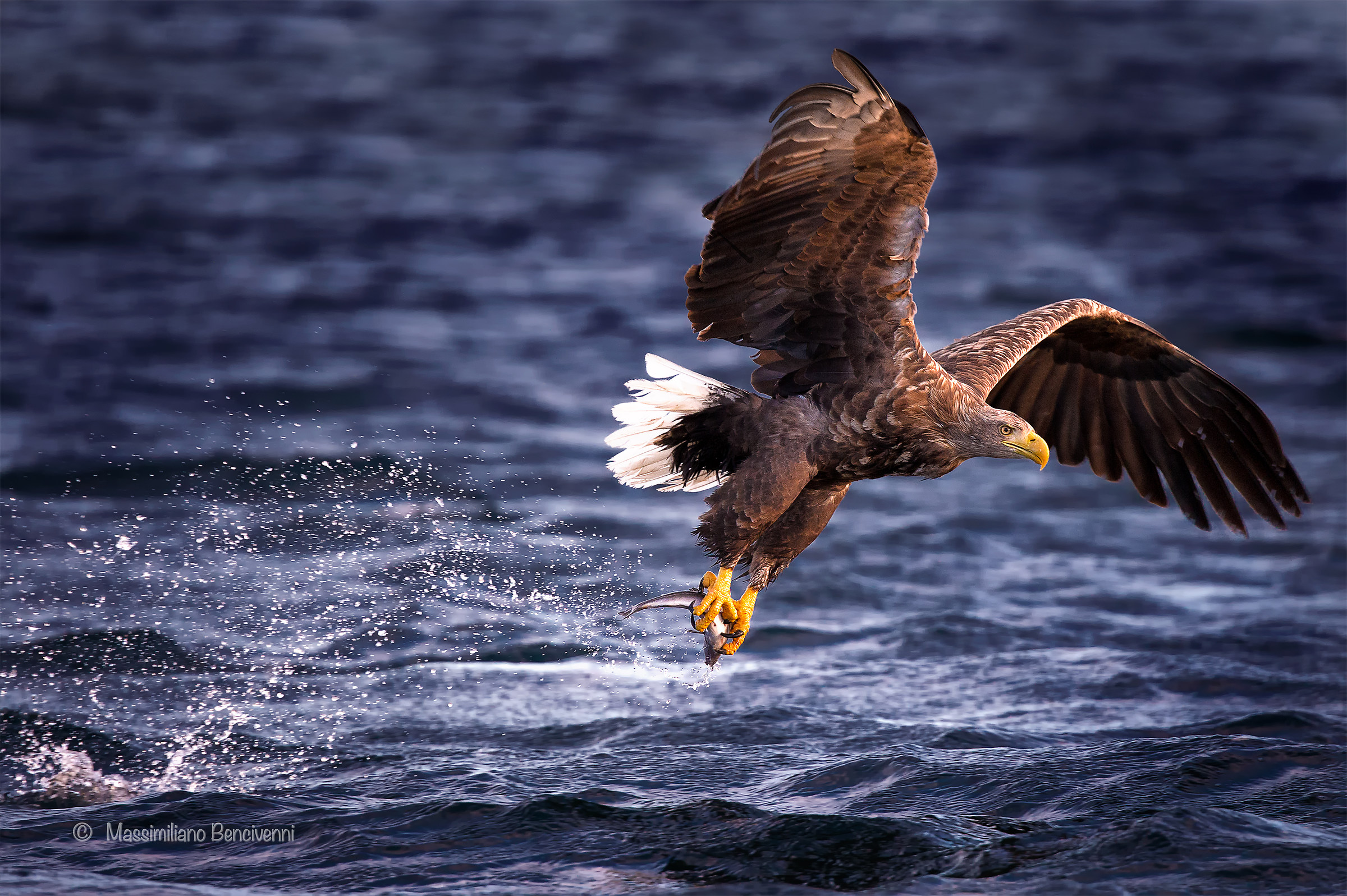 A pesca nel mare del nord