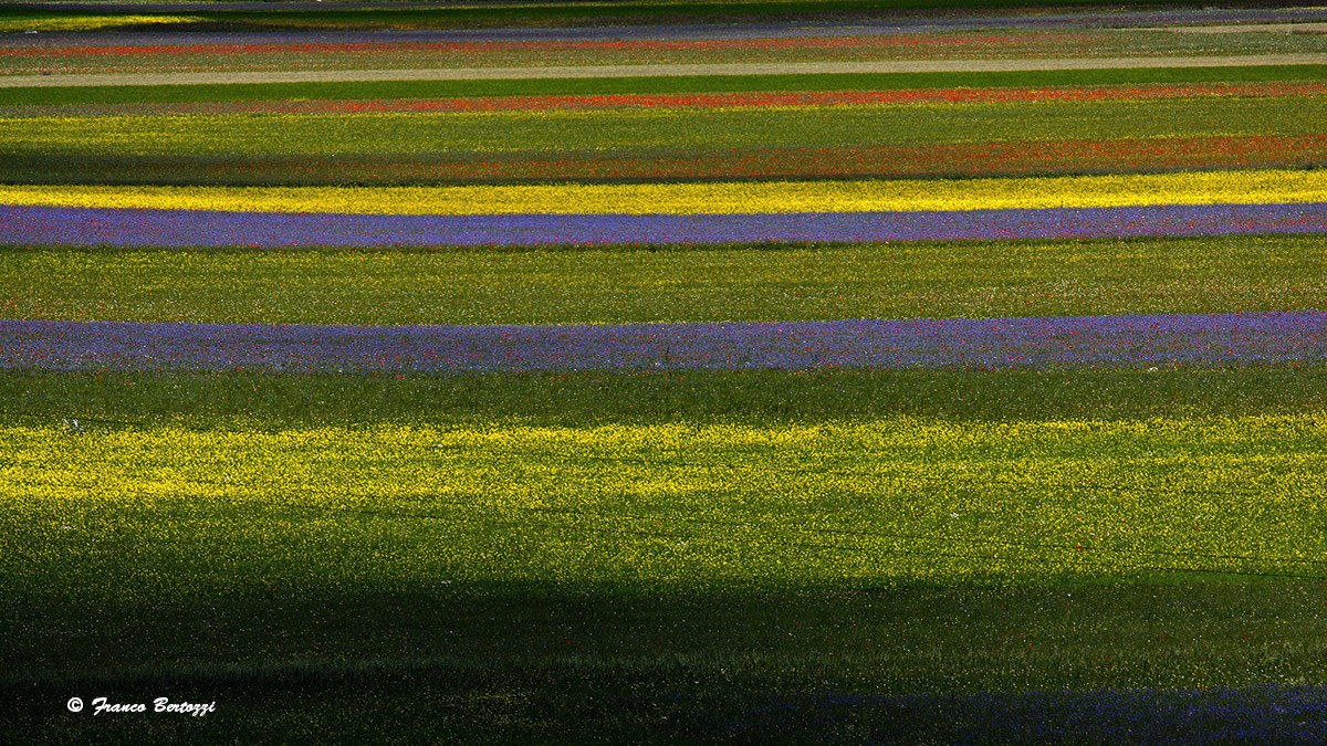 Castelluccio of Norcia 19