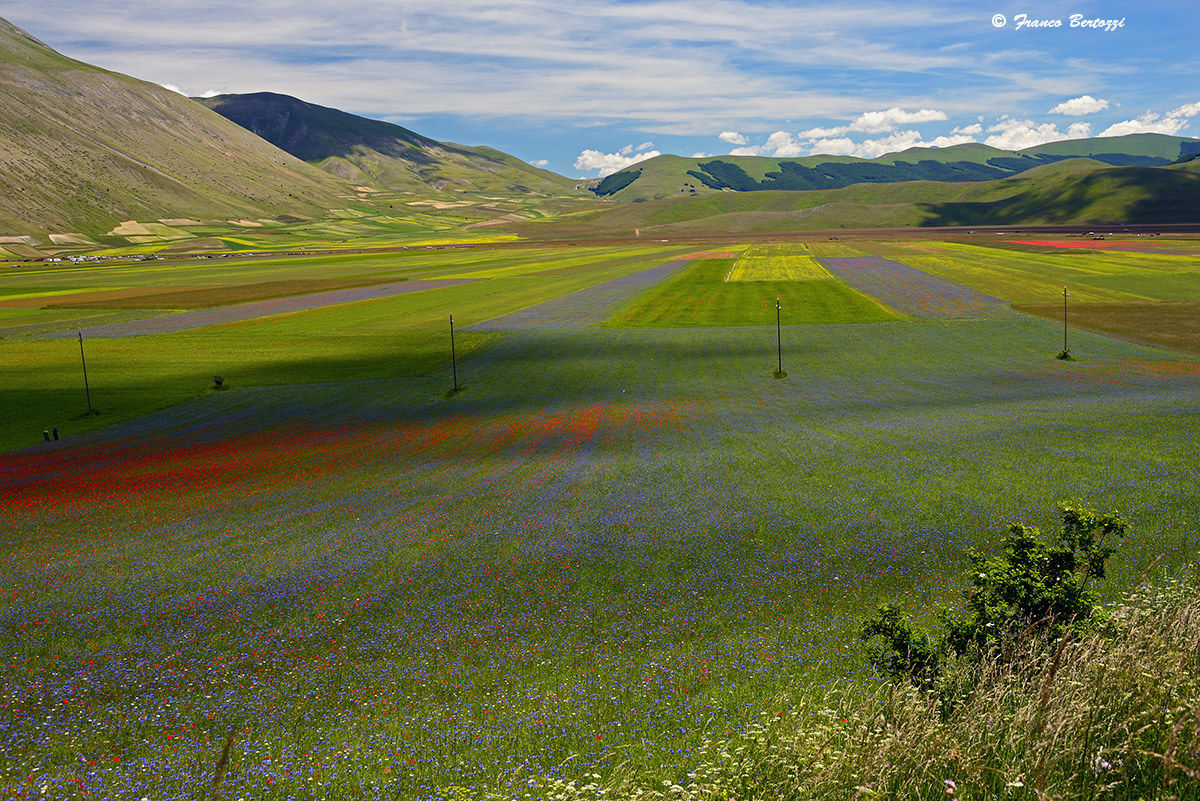 Castelluccio of Norcia 20