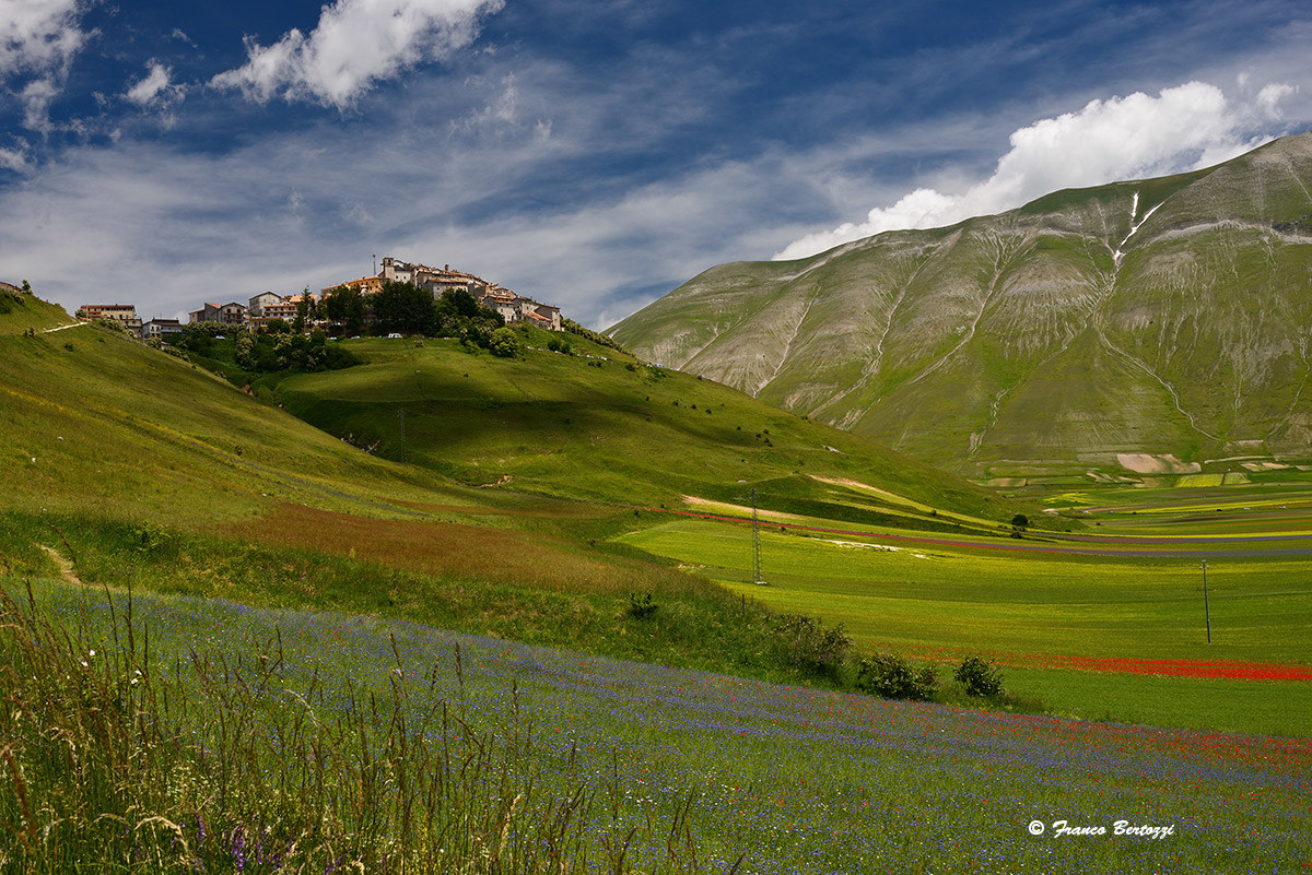 Castelluccio of Norcia 21