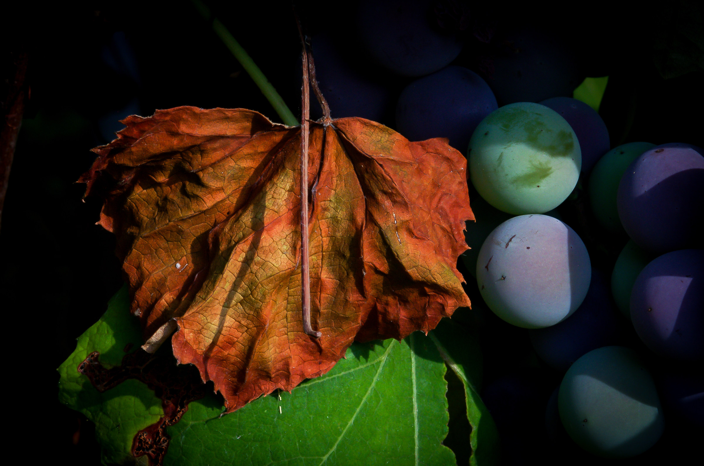 primi segnali d'autunno