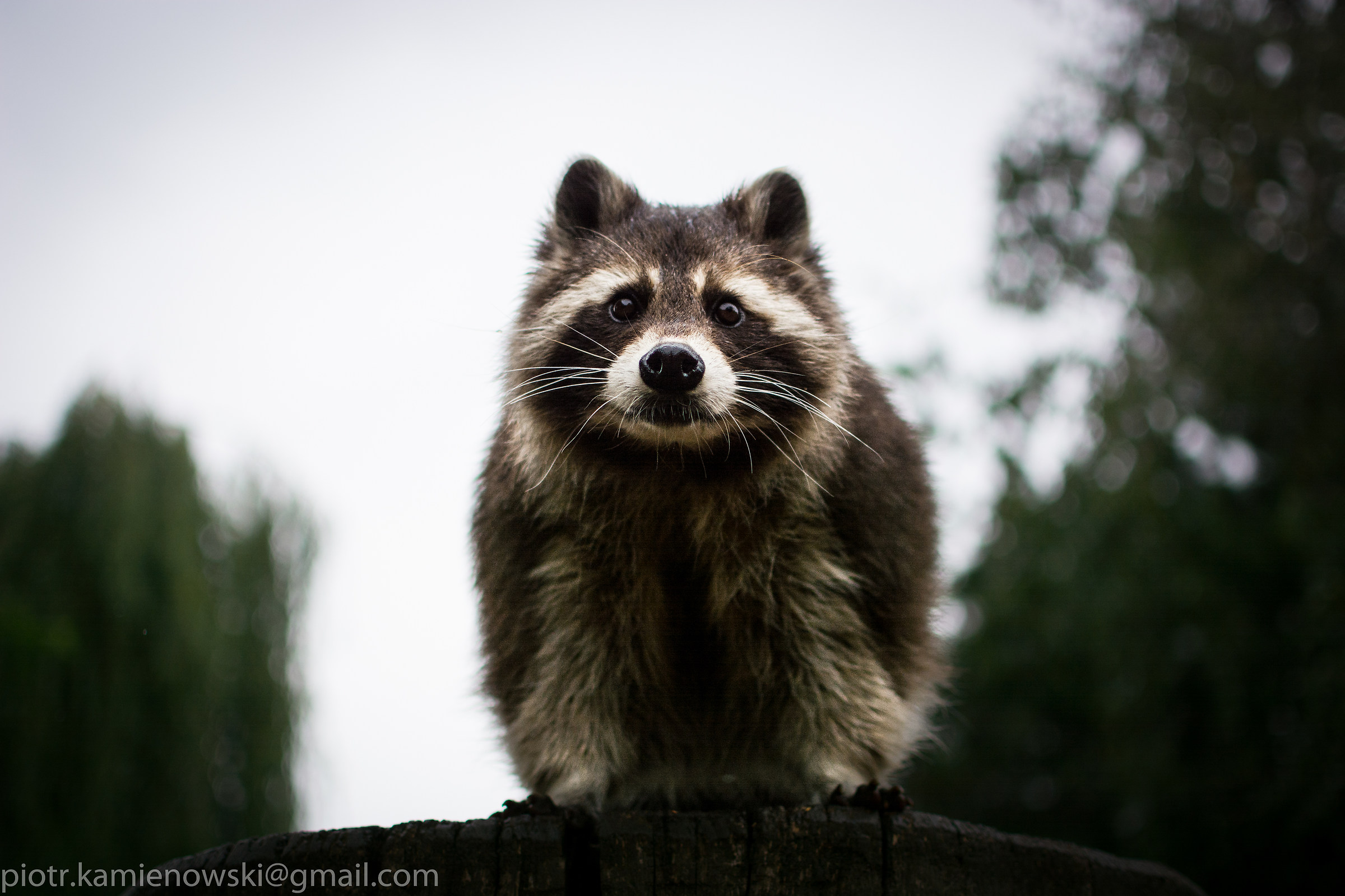 I look exactly into your lens