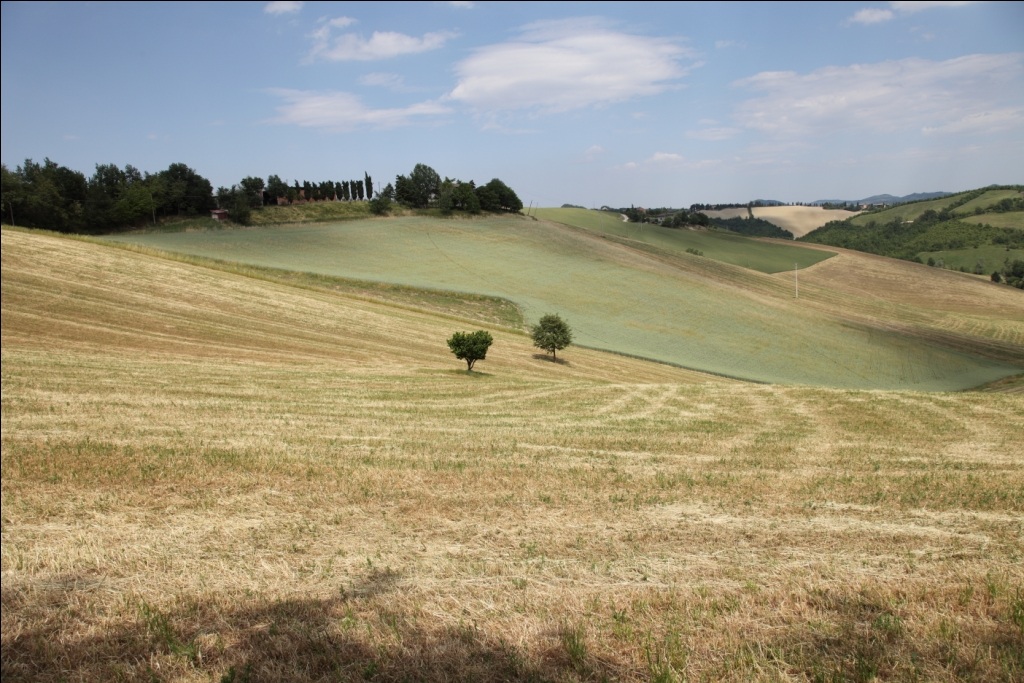 Paesaggio