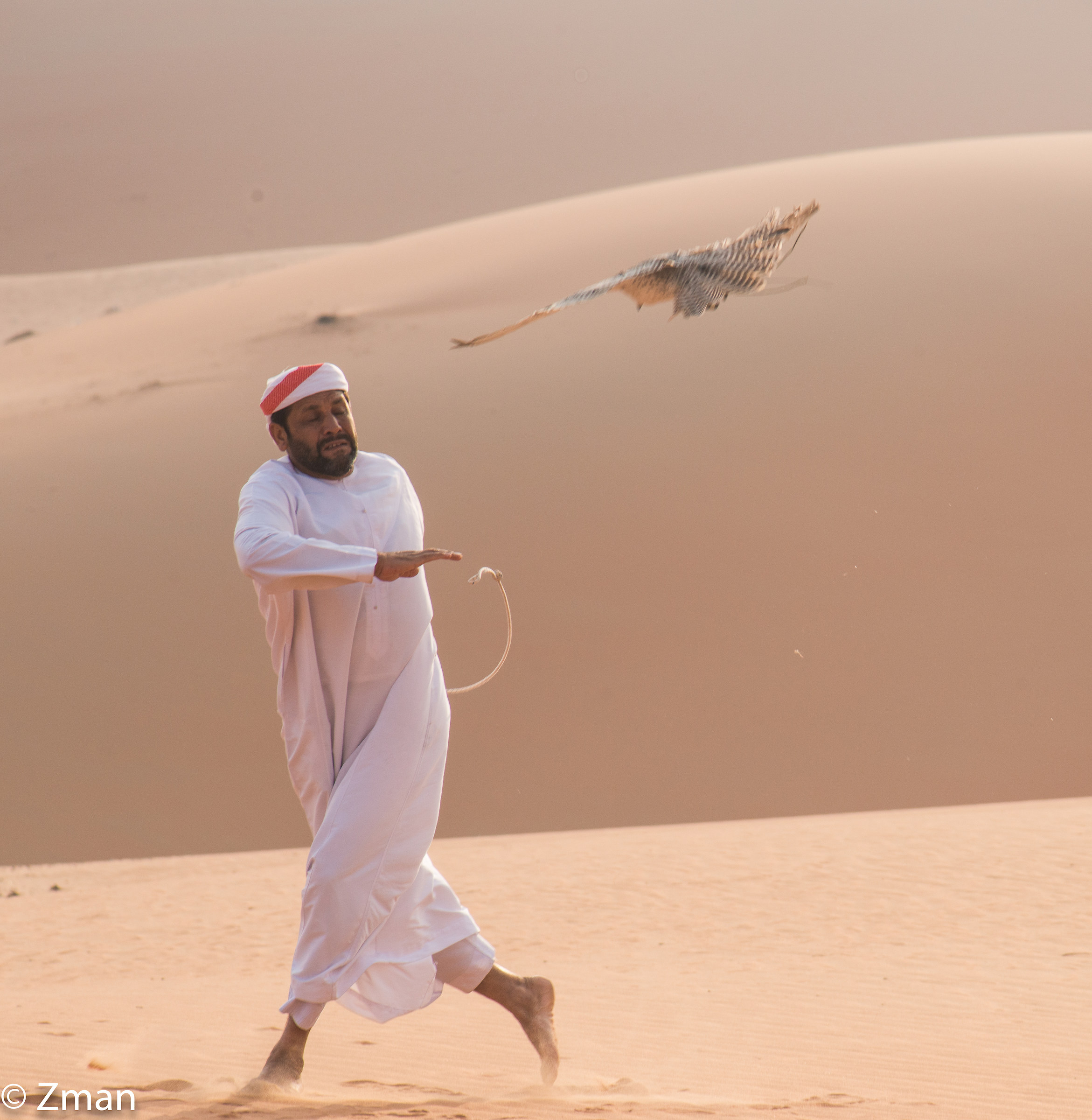 The Trainer and the Falcon