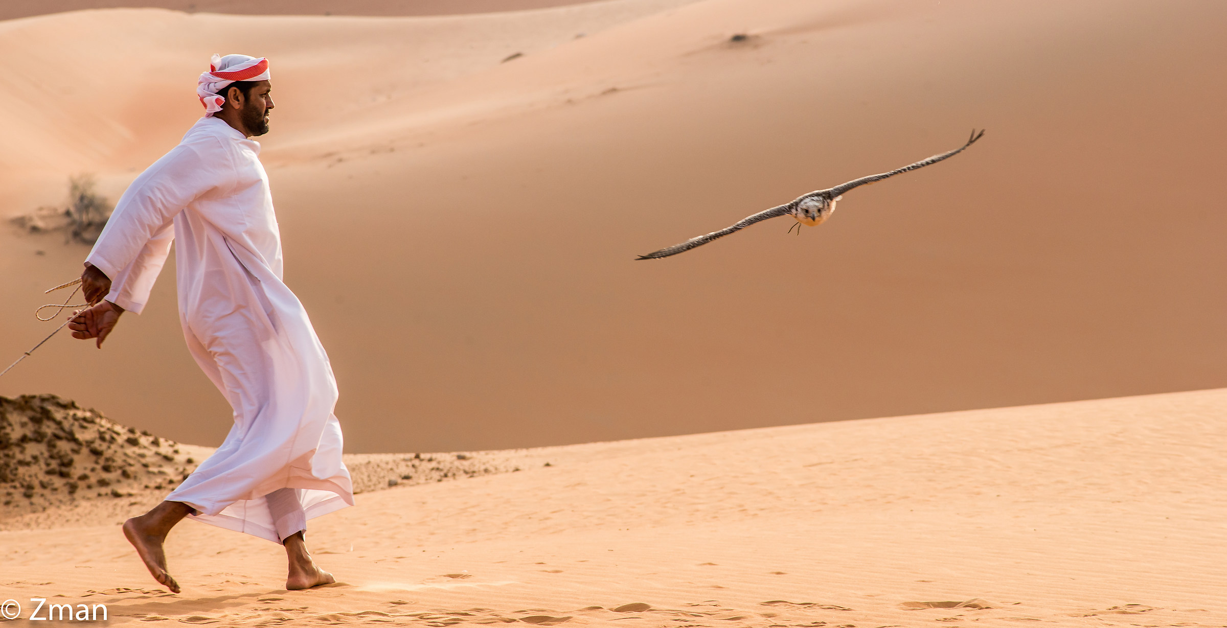 The Trainer and his Falcon