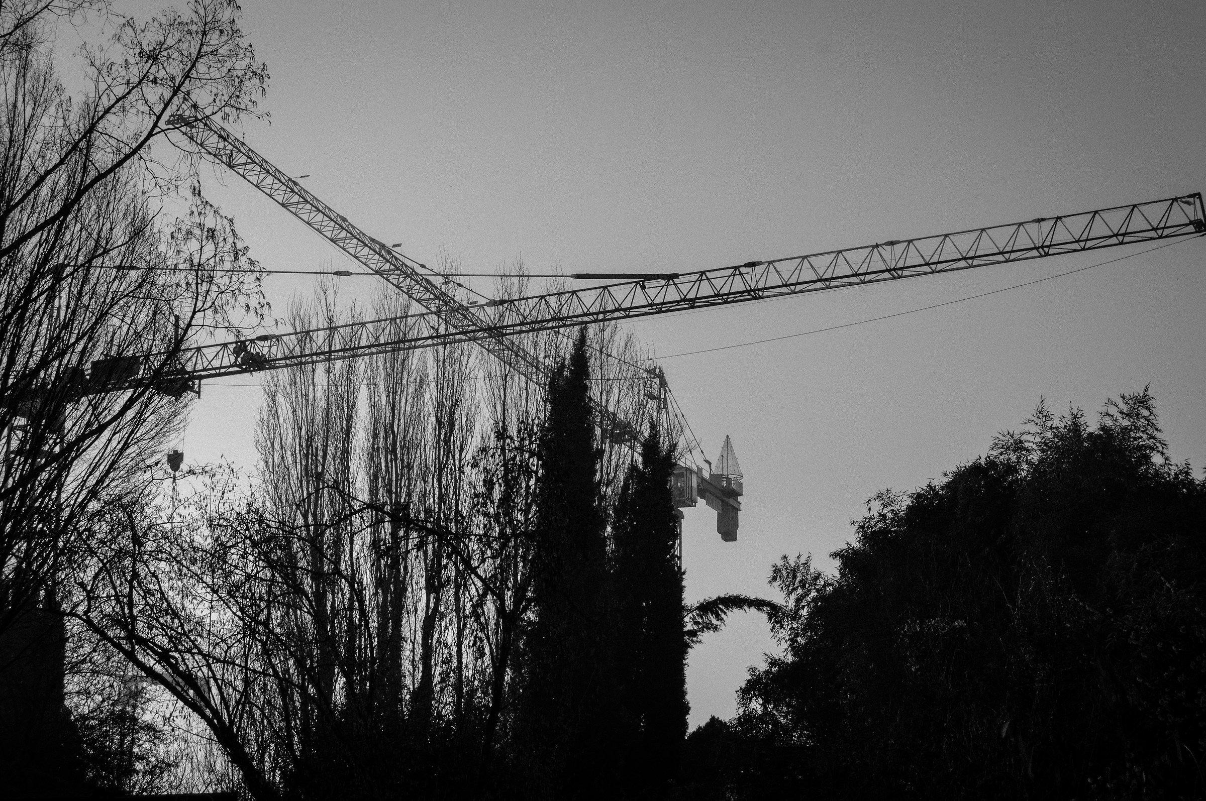 Crane