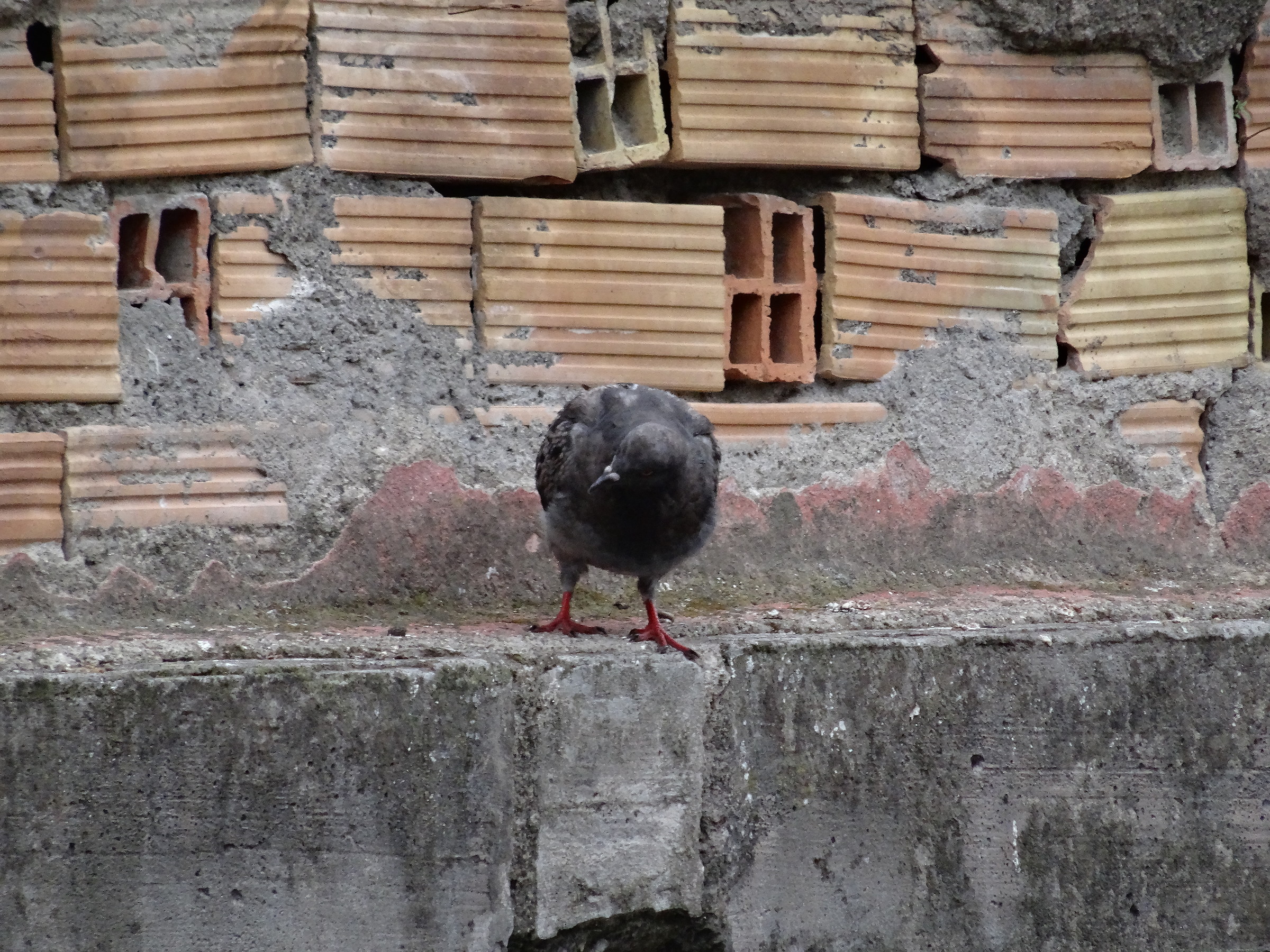 Ué ué, che vulite?