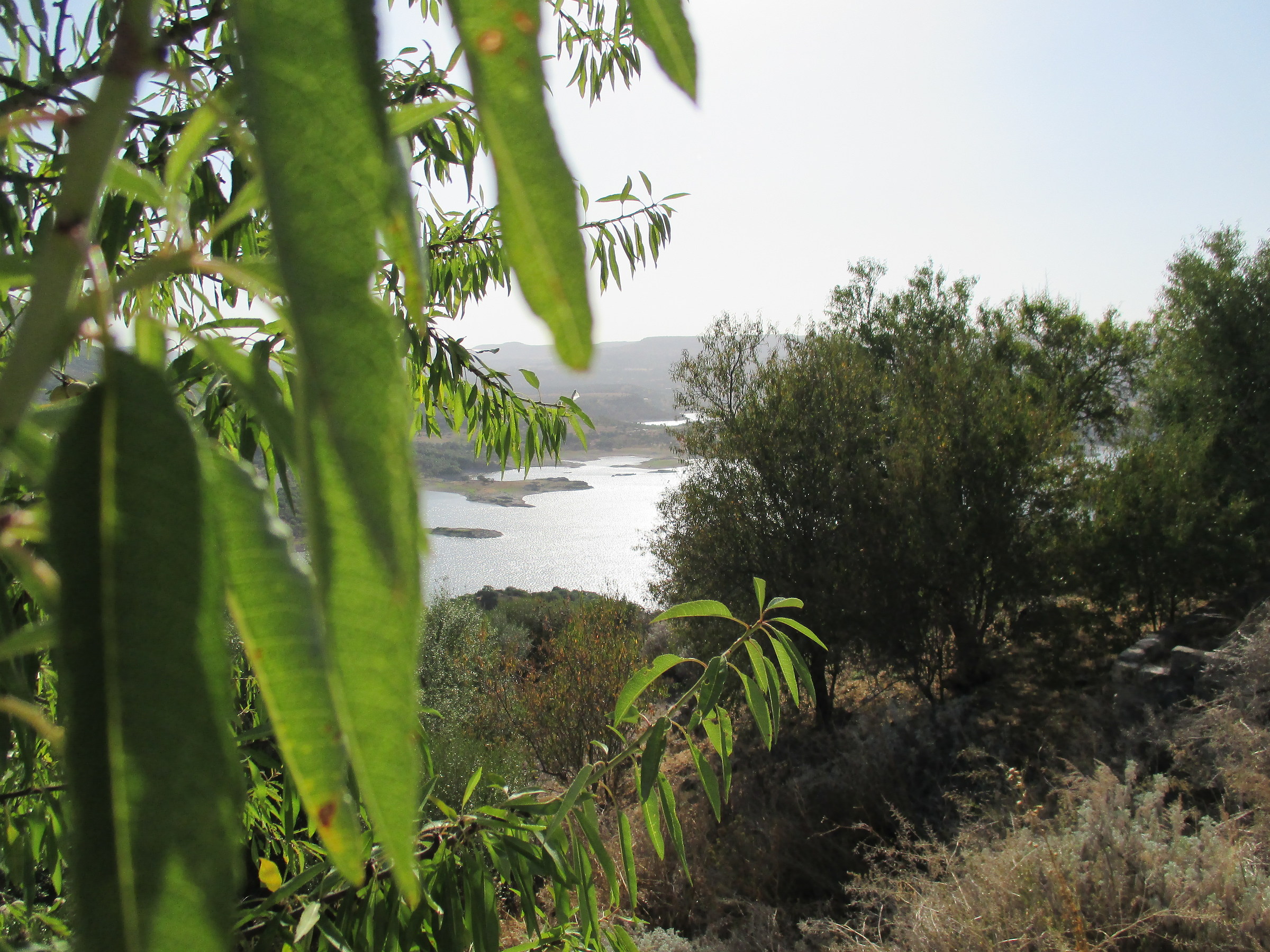 lago temo - sardegna