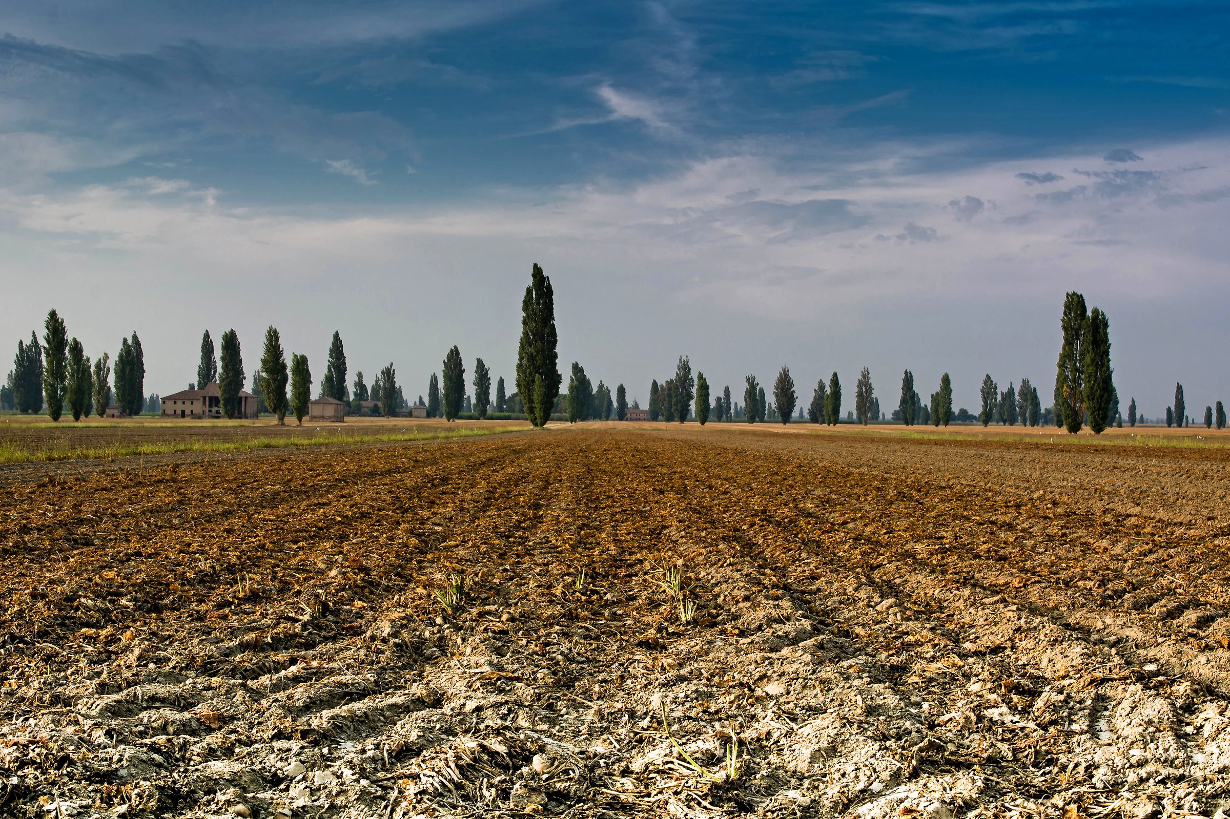 Ferrara countryside