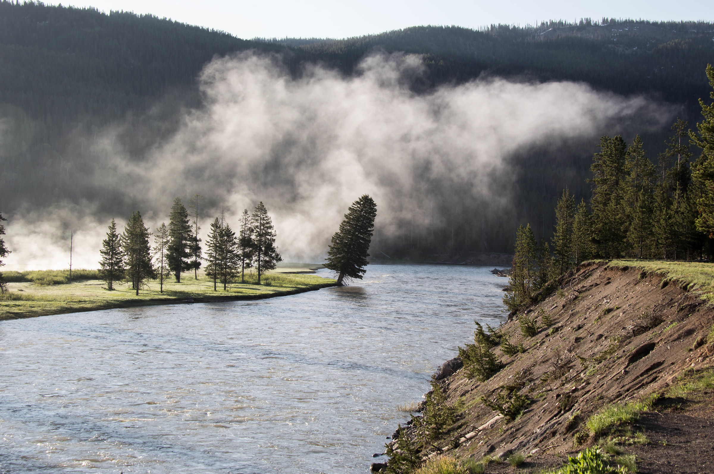 Sunrise at Yellowstone