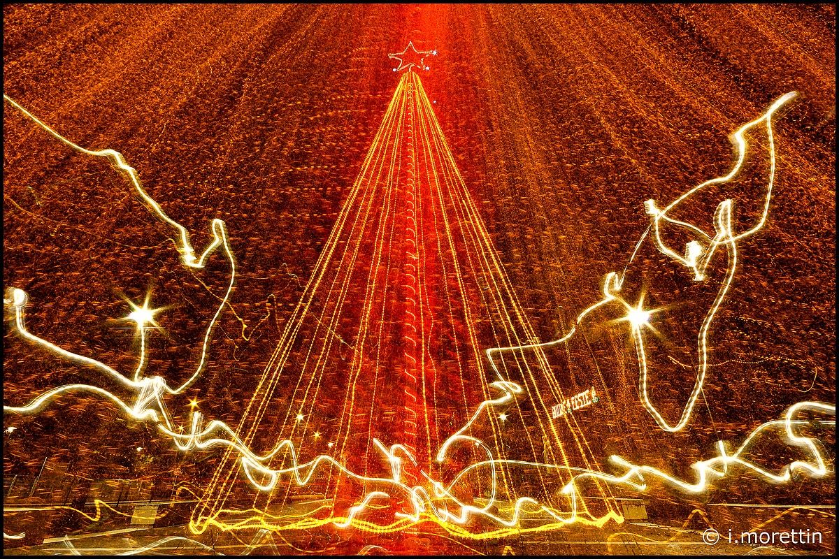 L'albero della festa