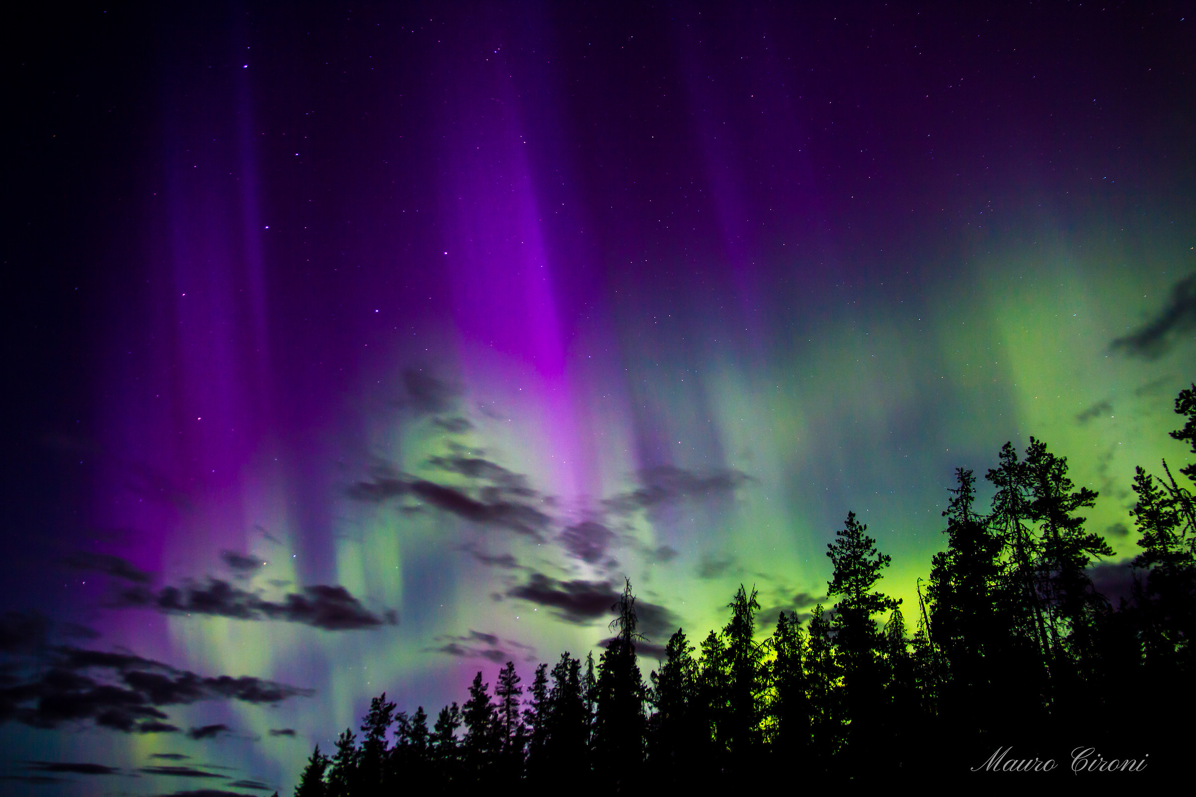 Northern Lights