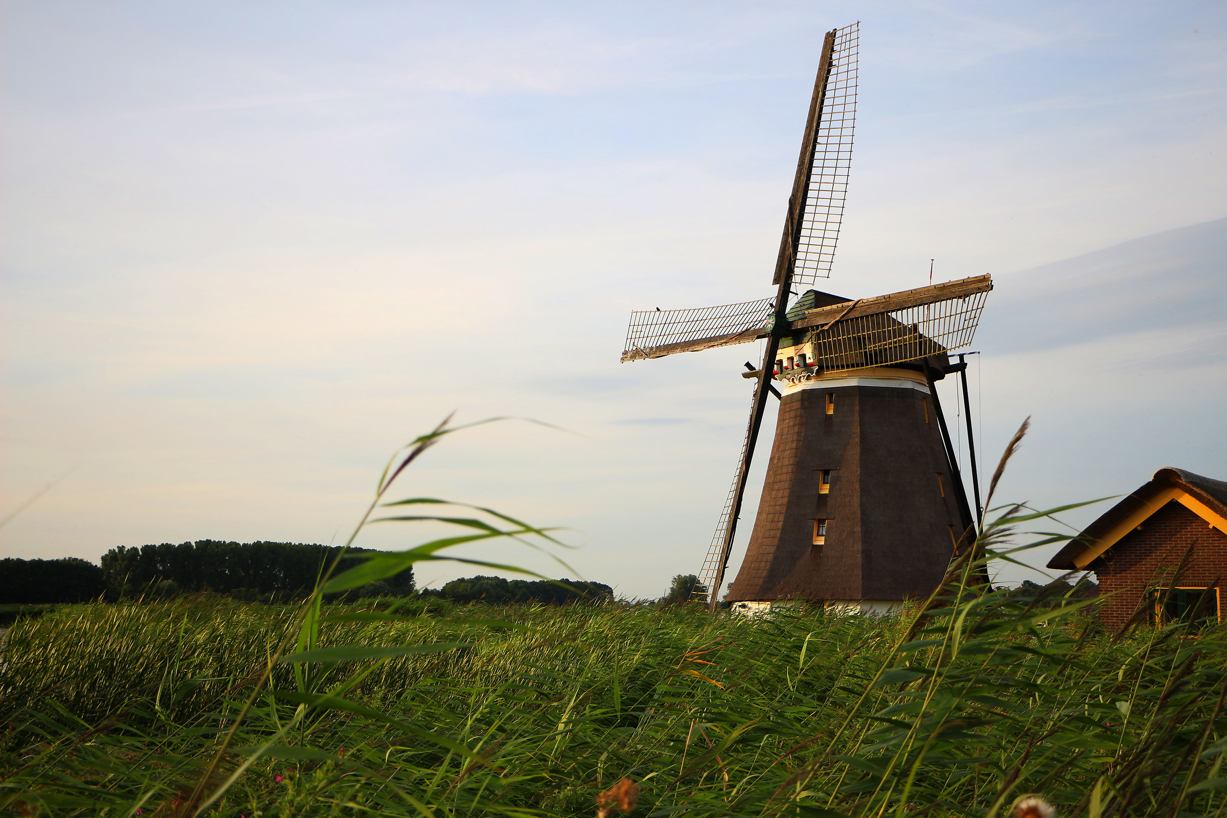 Mulino a Zevenhuizen