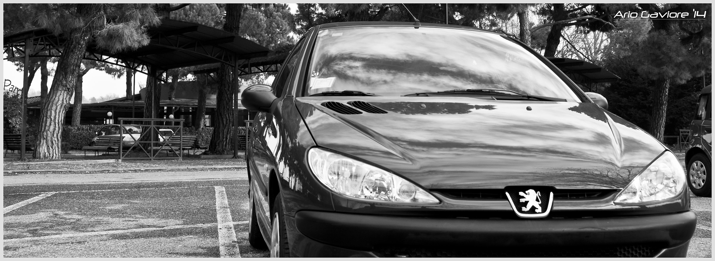 My Peugeot 206