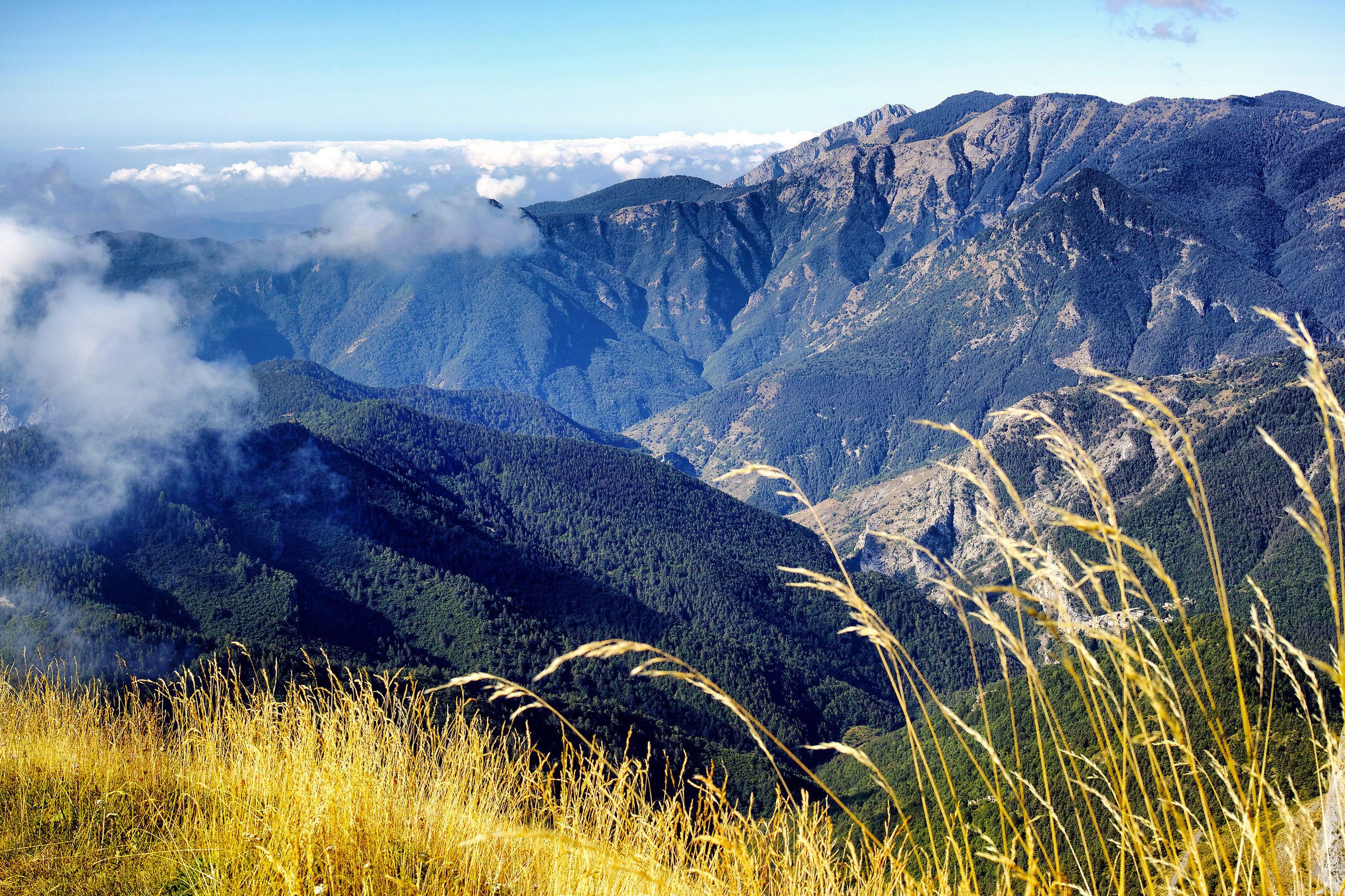 Alpi Liguri - [M.te Saccarello 2.201m.]