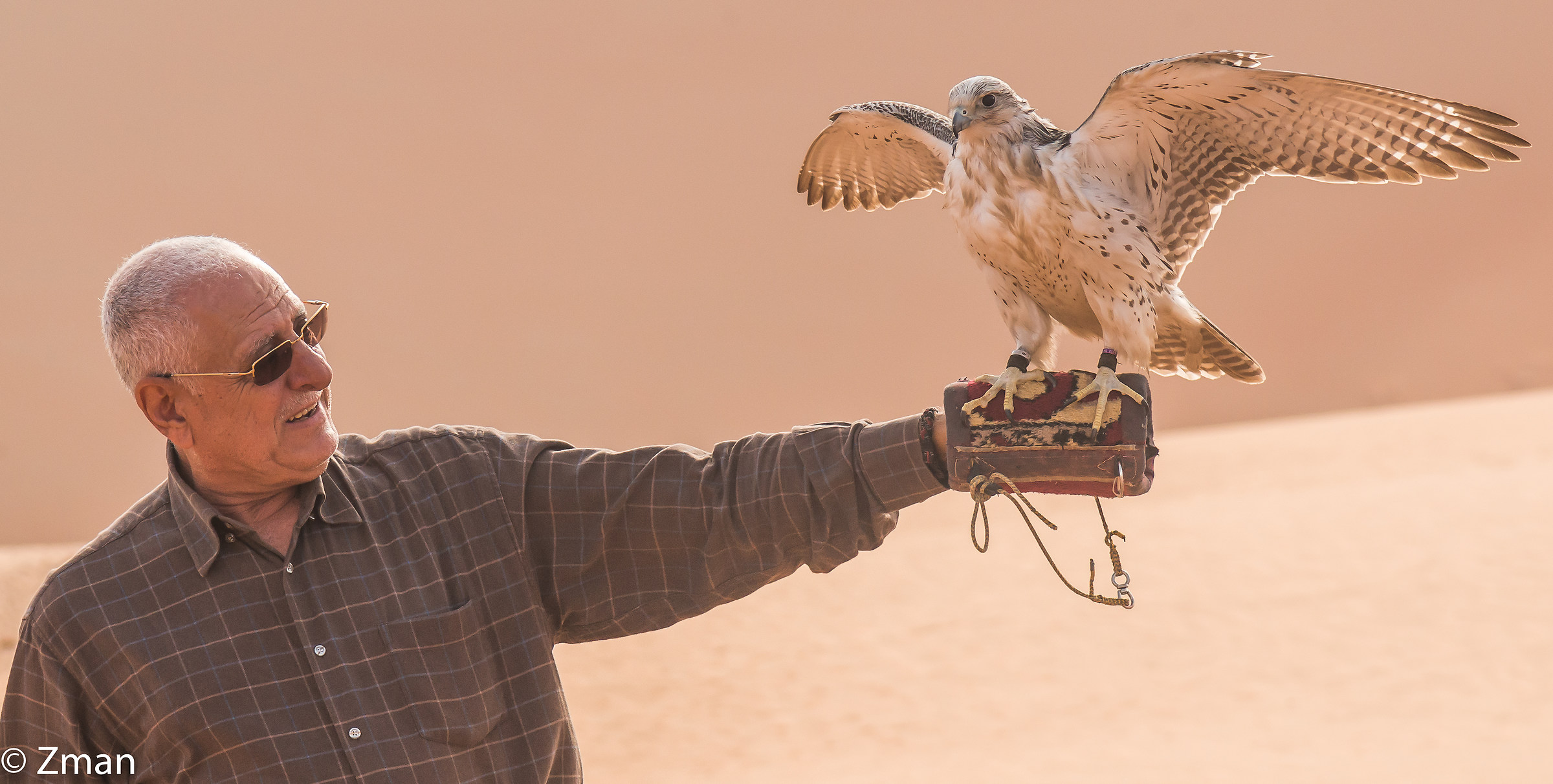 Zman and Shaheen The Falcon