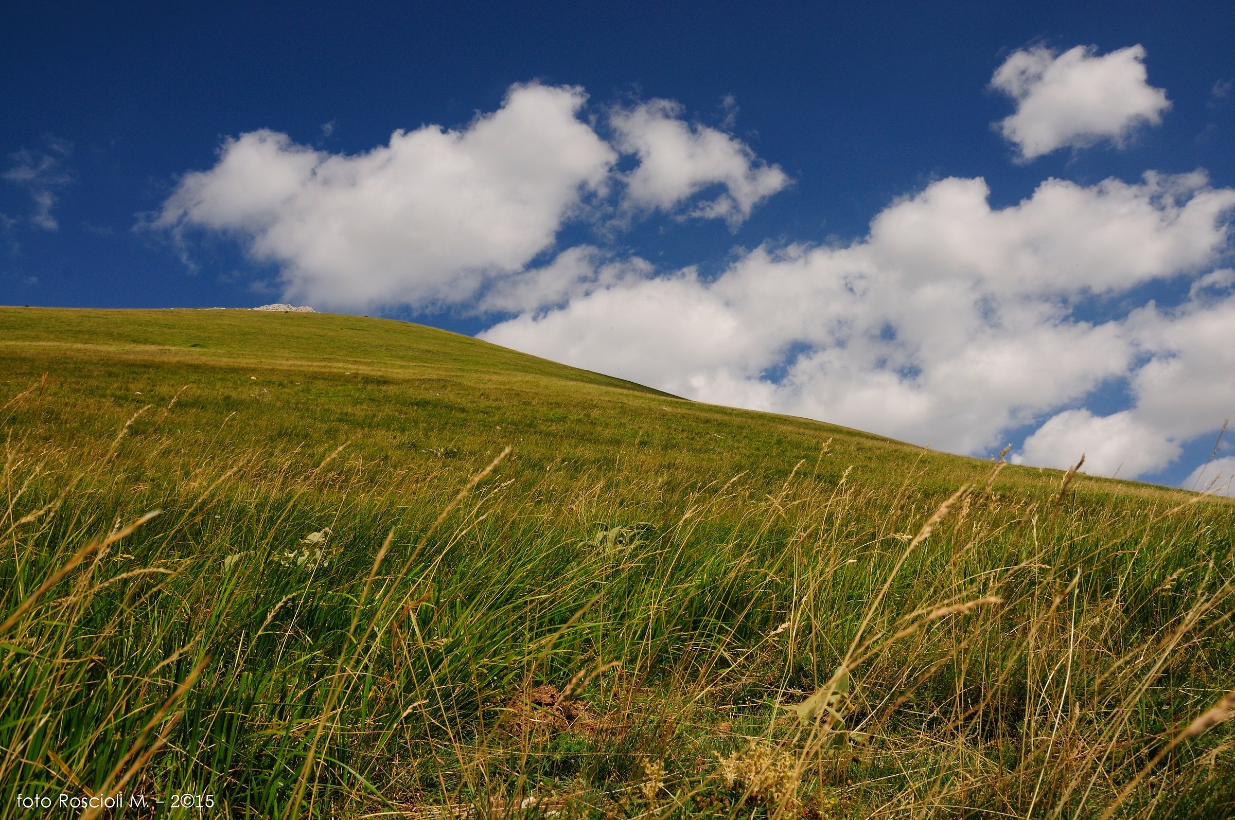 Agosto verde a Campo Imperatore